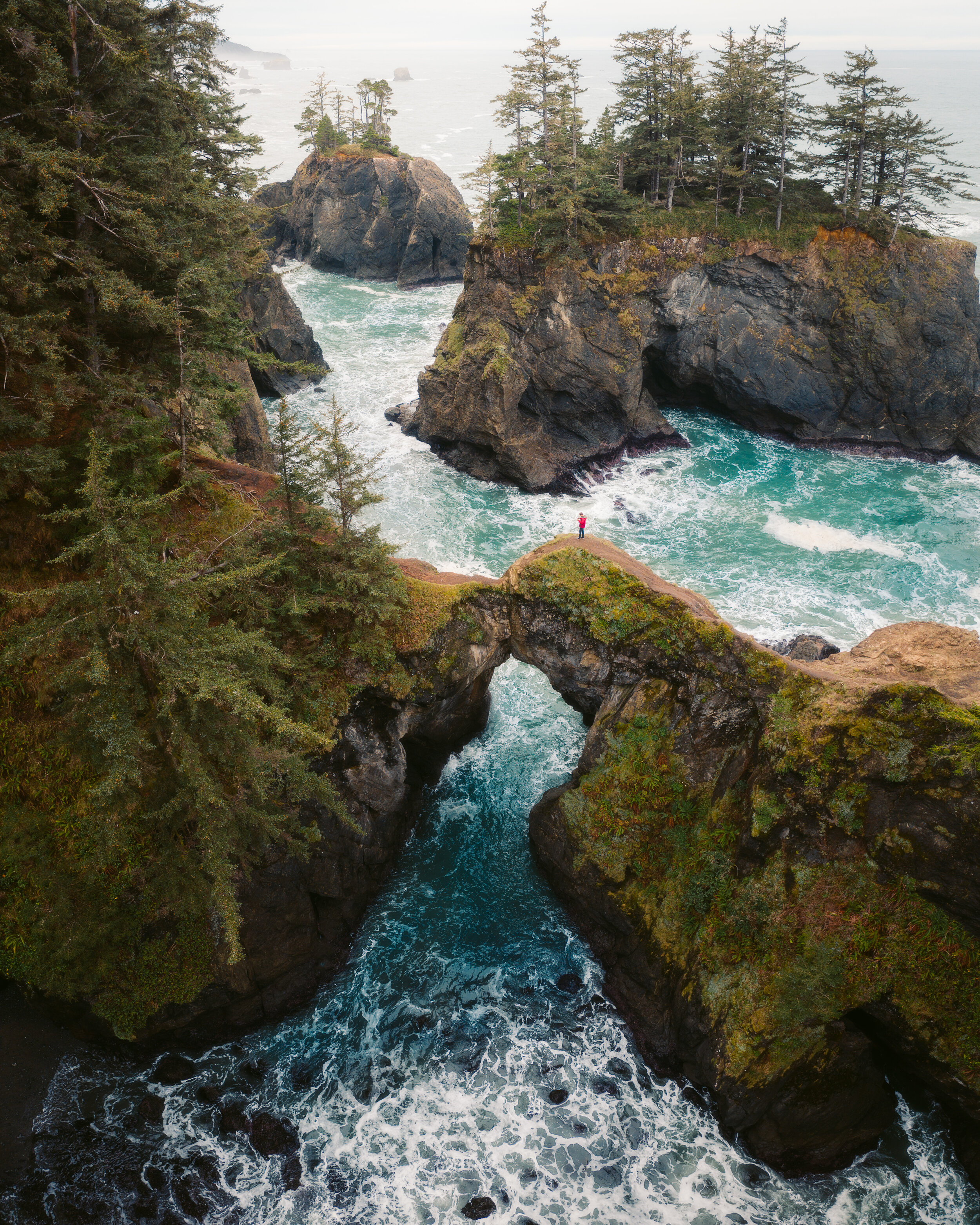 CollinCreates-11.jpg