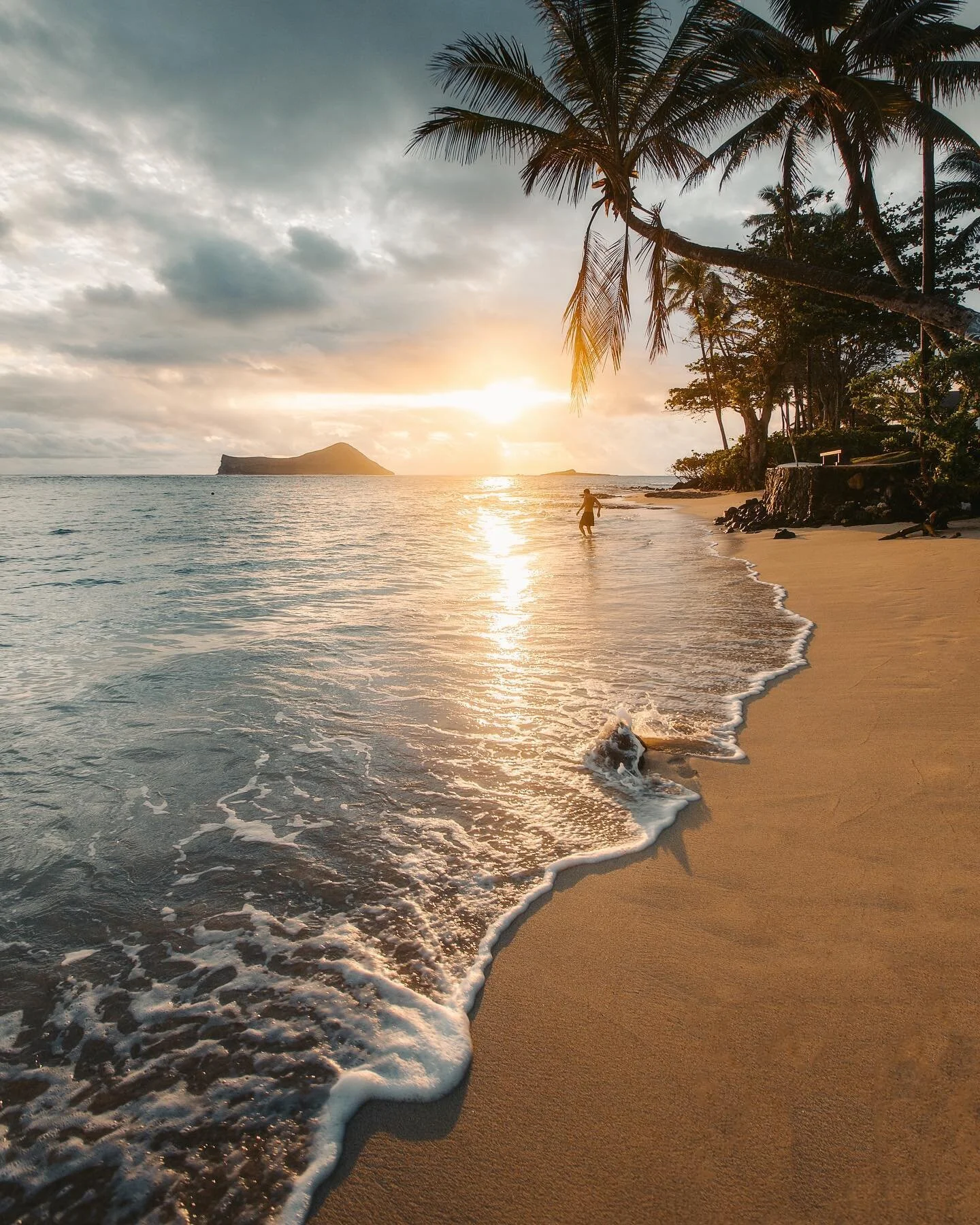&bull; 🏝 Island Life 🏝 &bull;

Had an amazing trip with some of my closest friends this past week! But, I would be lying if I said I didn&rsquo;t miss my new home! Will be back on the island next week and after another quarantine will be swimming i