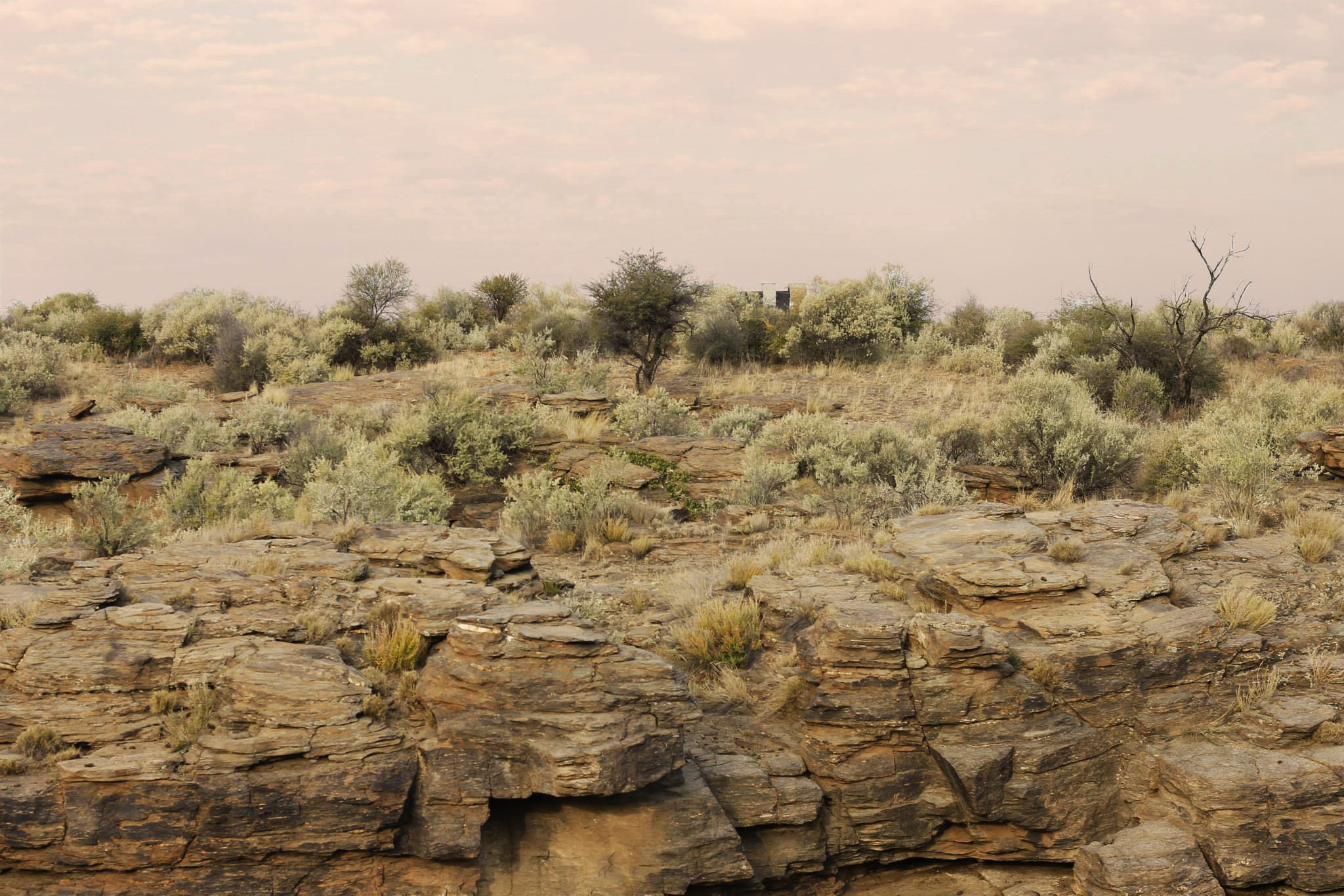 Layers in Nature Namibia, 2013