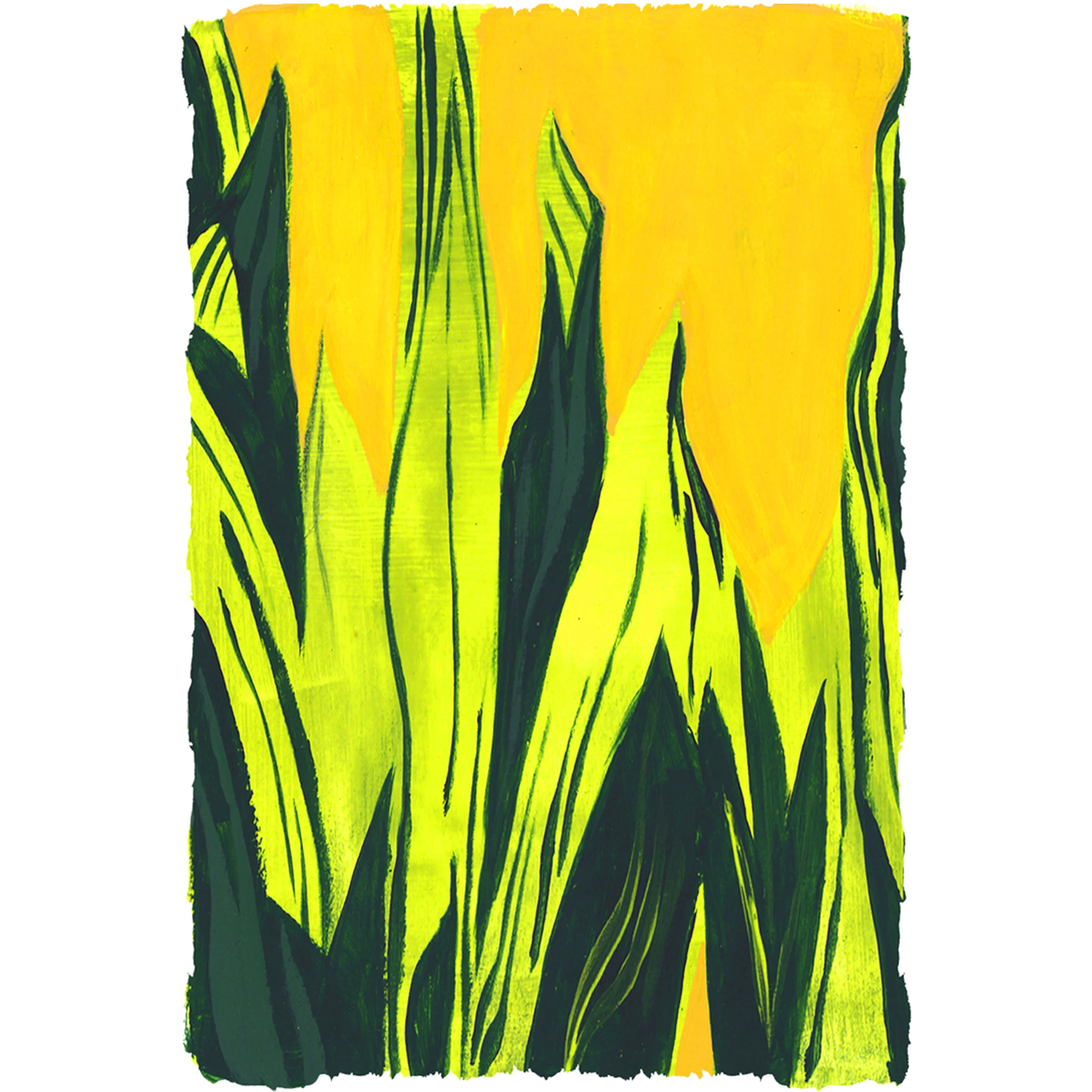 yellowplants_web.jpg