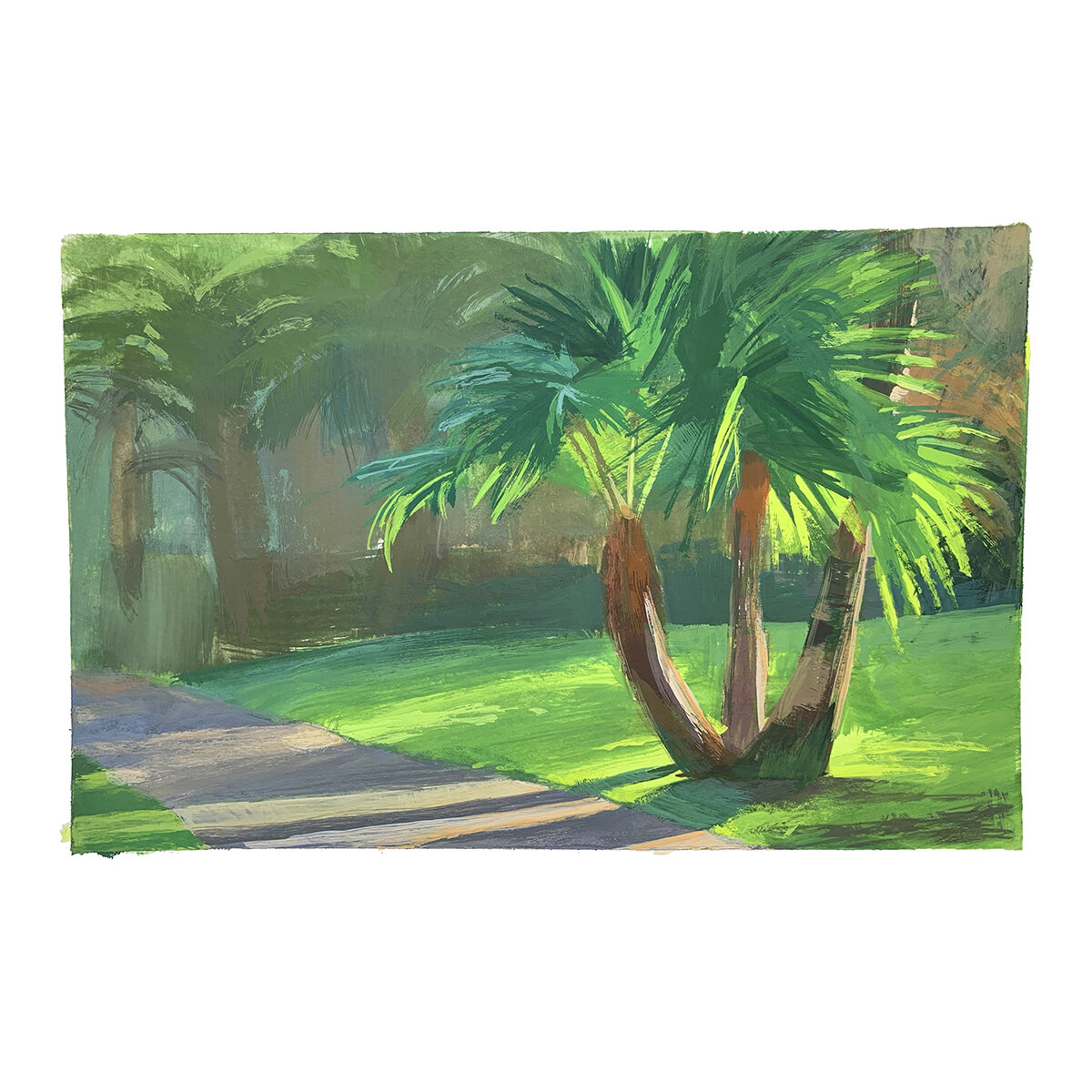 Evening Palm