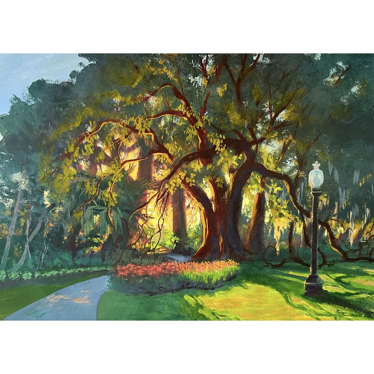 Oak at Dusk