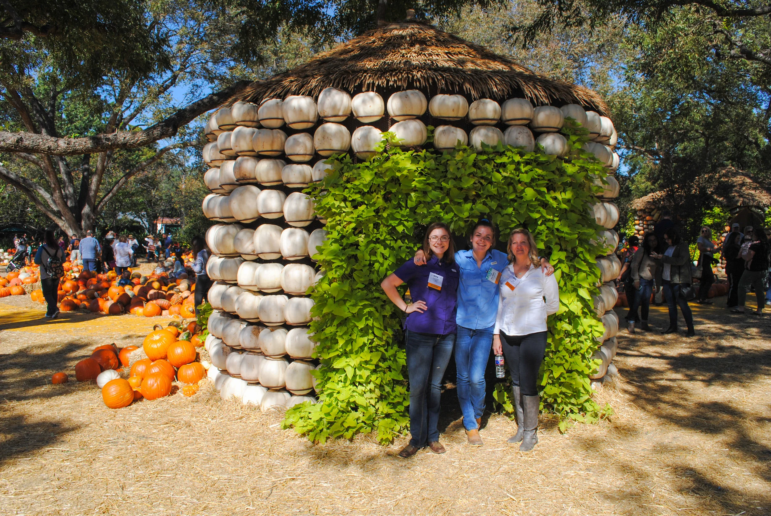 SFA students Anna Claire, Jade, and Laura stand in front of a pumpkin house at the Dallas Arboretum 's Wonderful World of Oz. 