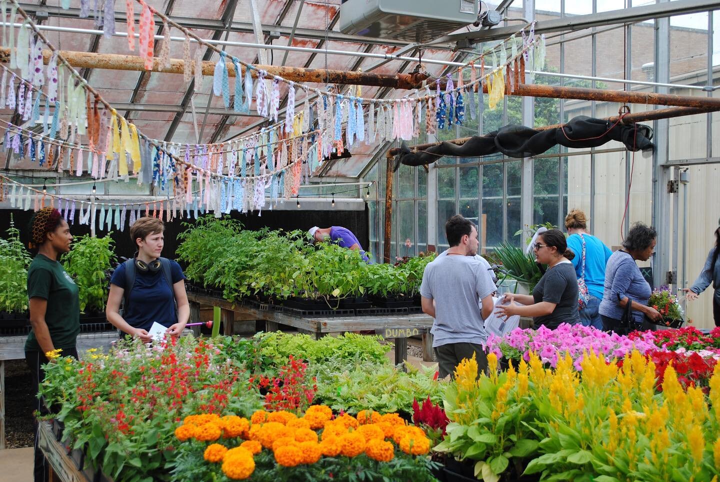 Come one, come all to our Spring Plant Fair! Thursday, April 20 from 5&ndash;7 PM in the Plantery behind the SFA Agriculture building. We will have plenty of great student grown plants available.