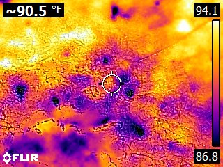 FLIR0025.jpg