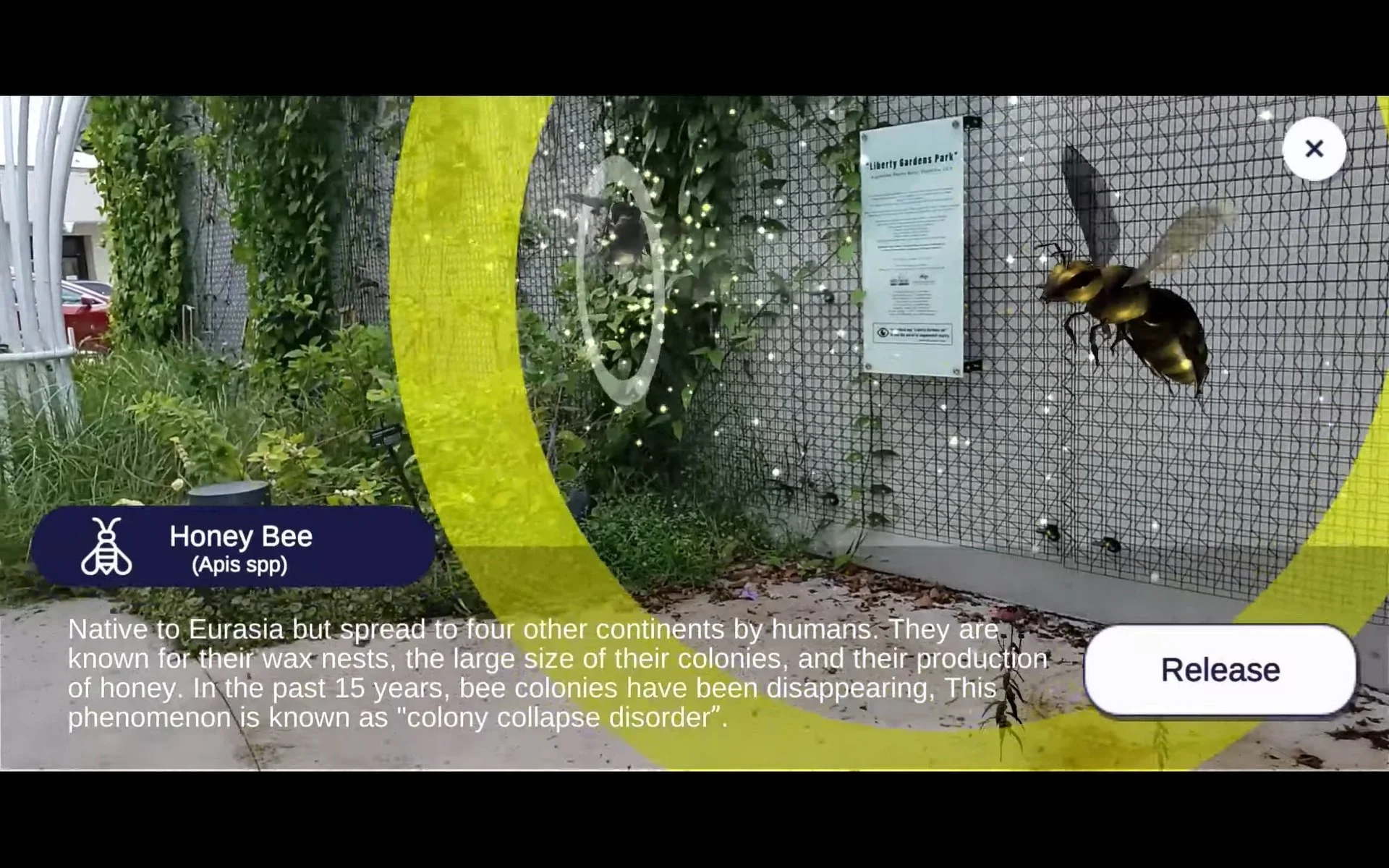 Screen Capture: Liberty Gardens AR App