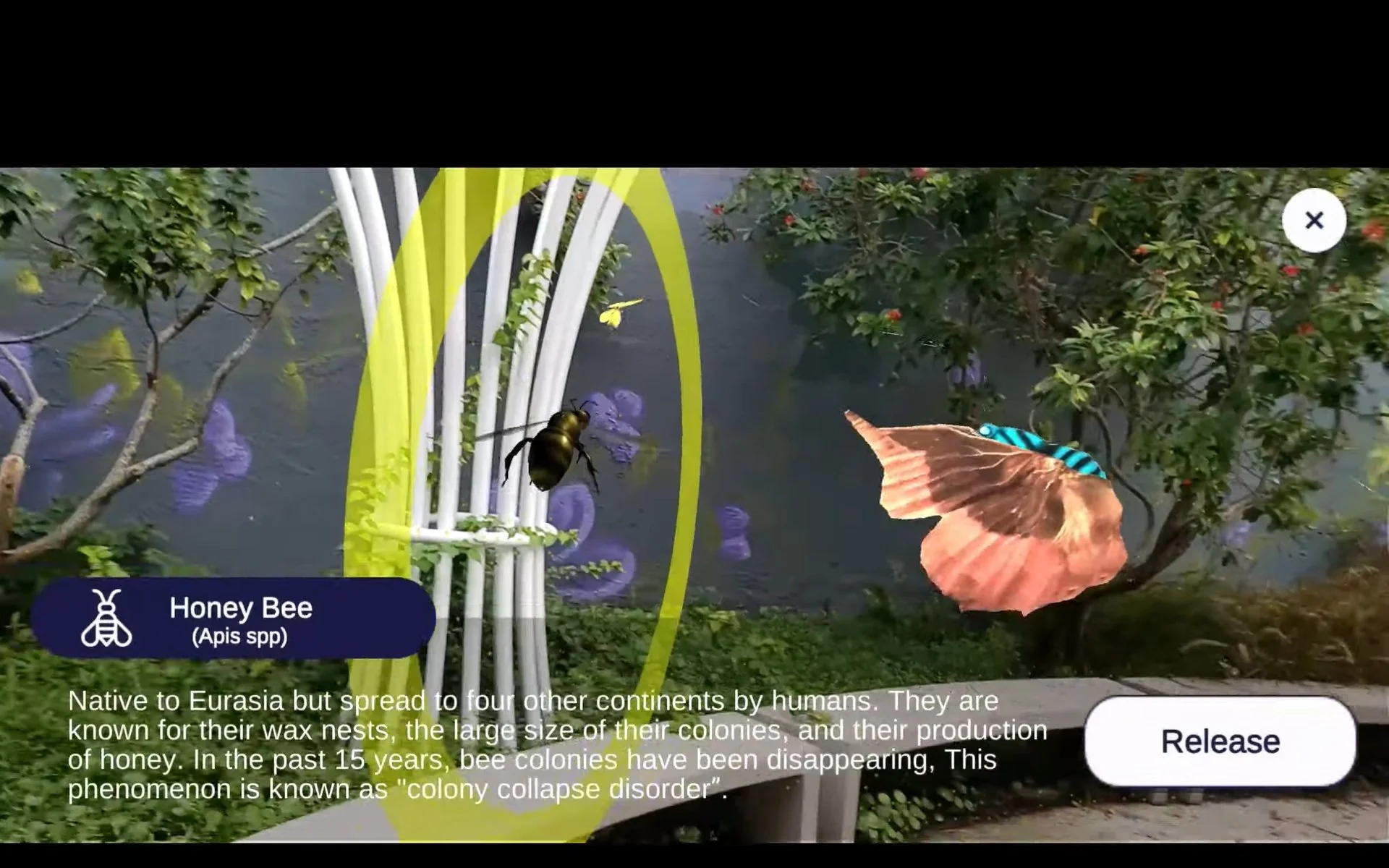 Screen Capture: Liberty Gardens AR App