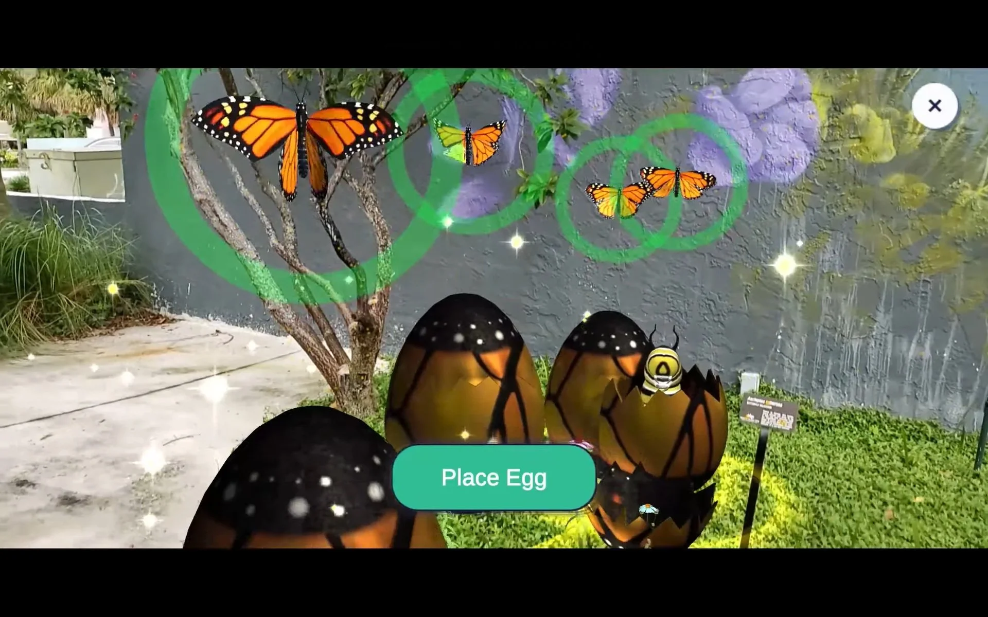 Screen Capture: Liberty Gardens AR App