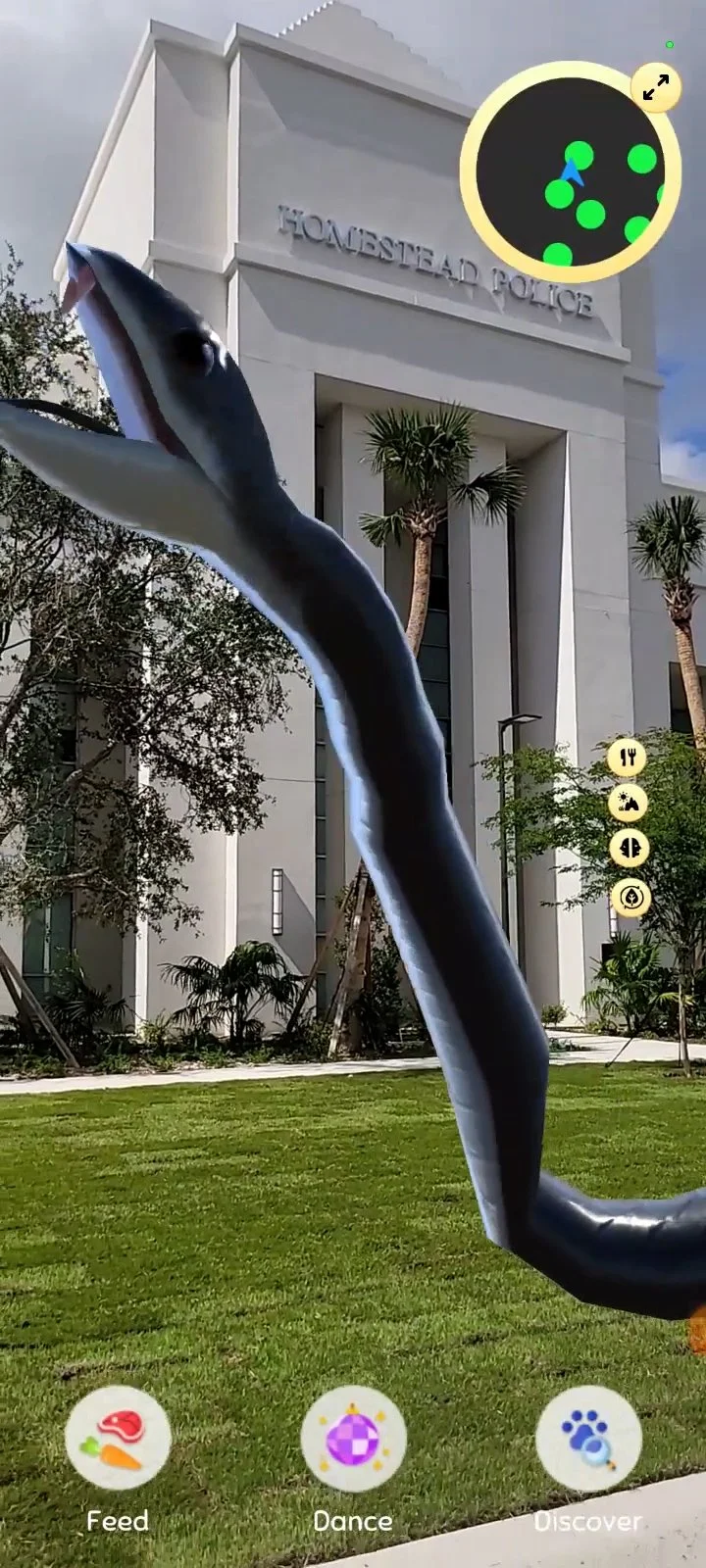 Screen Capture: Homestead Everglades Safari AR