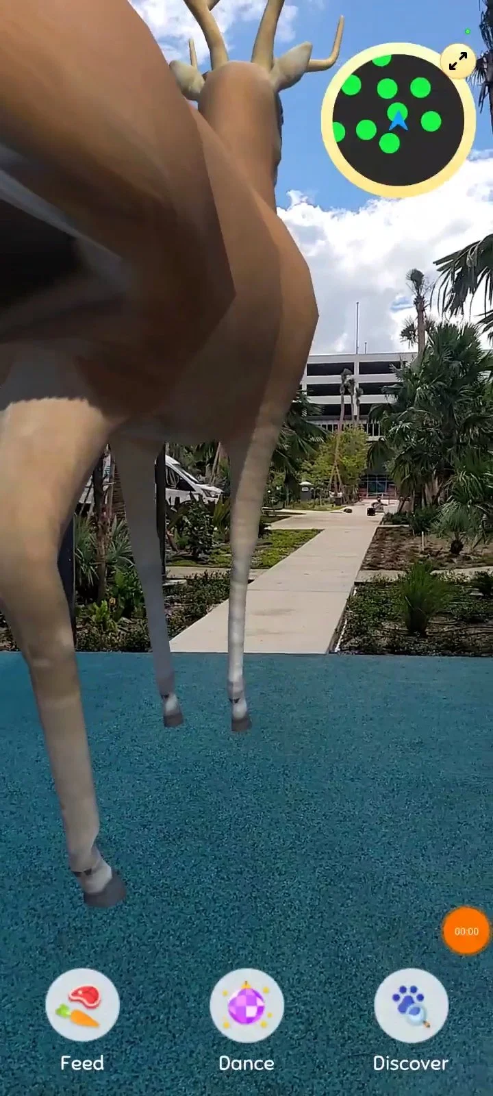 Screen Capture: Homestead Everglades Safari AR