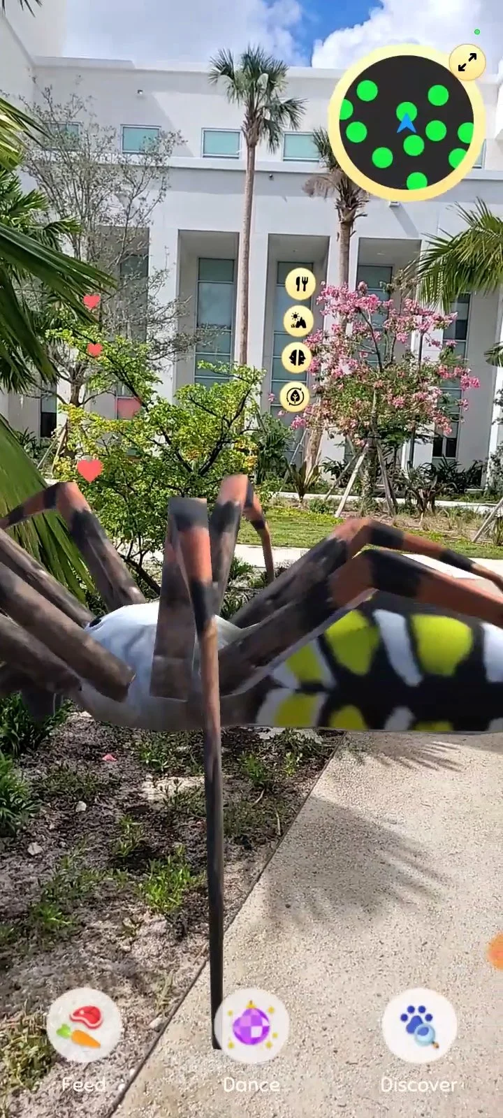 Screen Capture: Homestead Everglades Safari AR