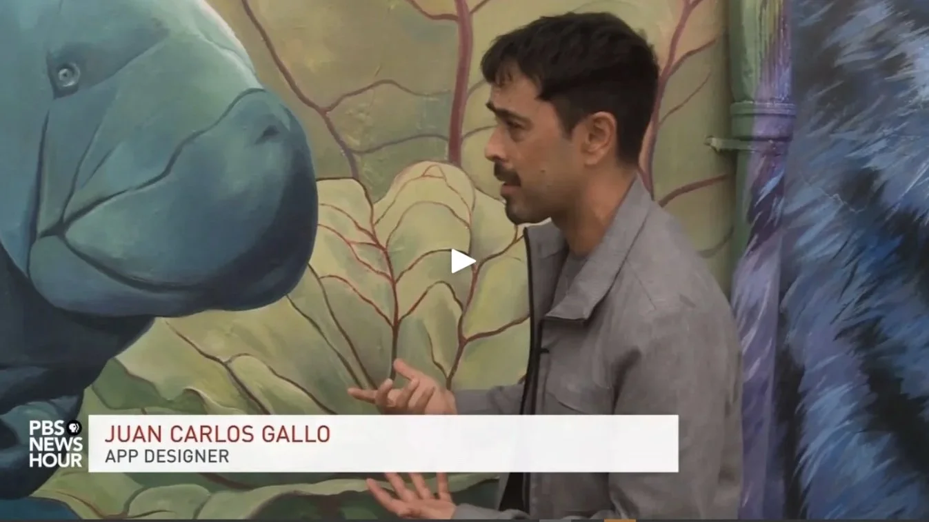 Video: