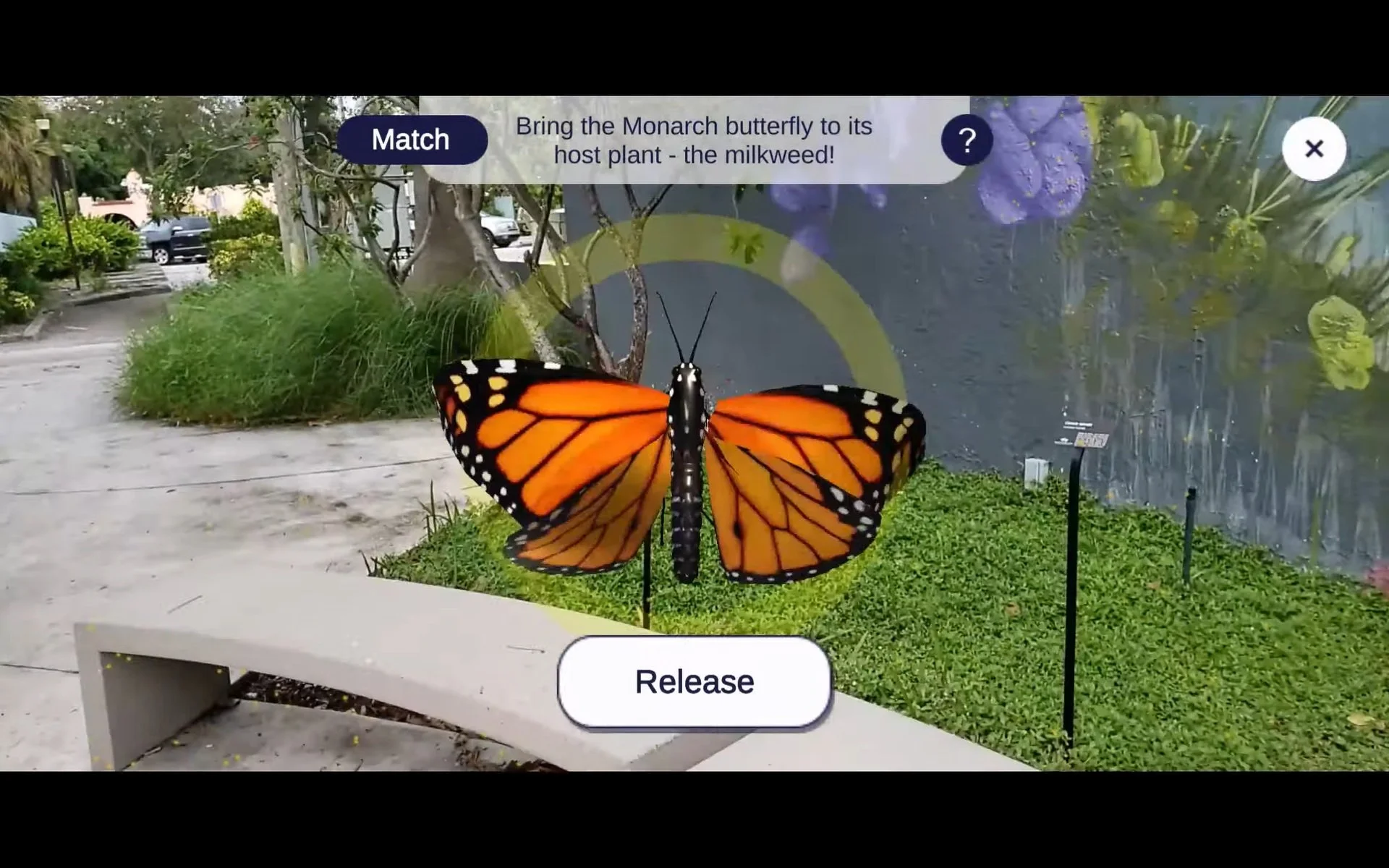 Screen Capture Phone: Catch Butterflies