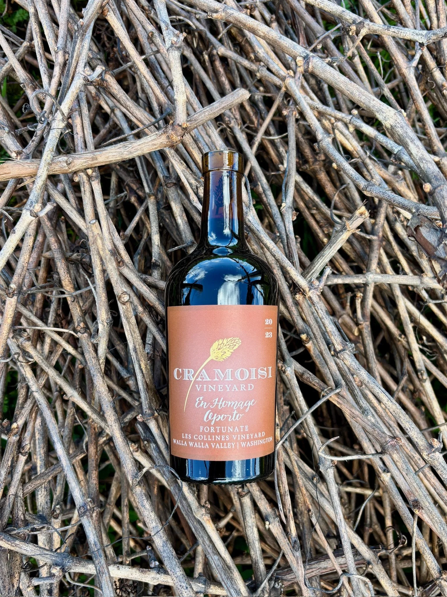 A Taste of Oregon Port-Style Wines