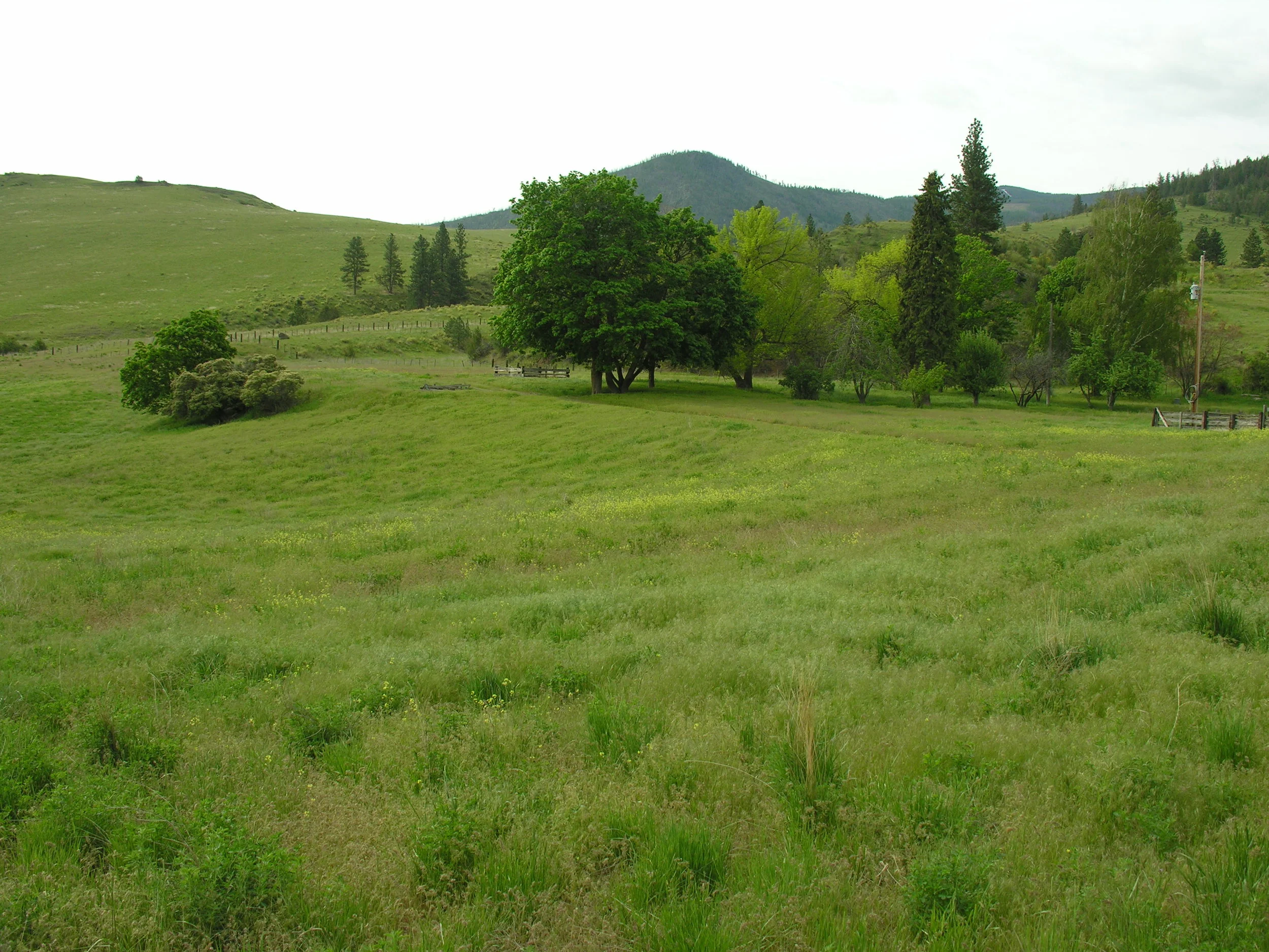 lot 15 homesite.JPG