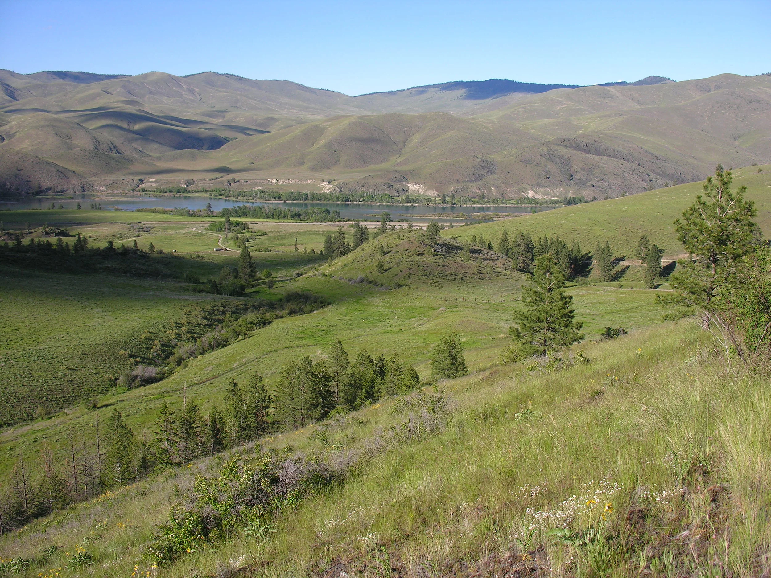view from NE parcel.JPG