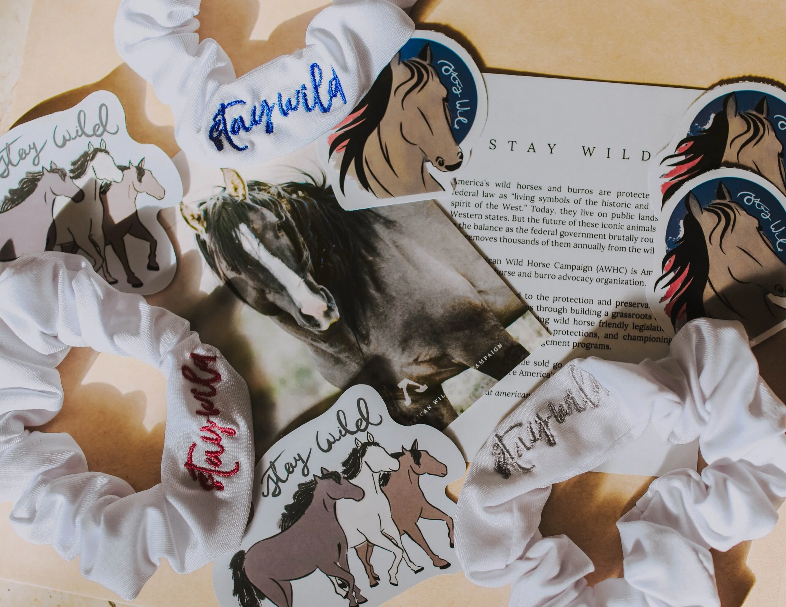 CA3A4355-599E-45EB-9274-6F75CC2F1CBC