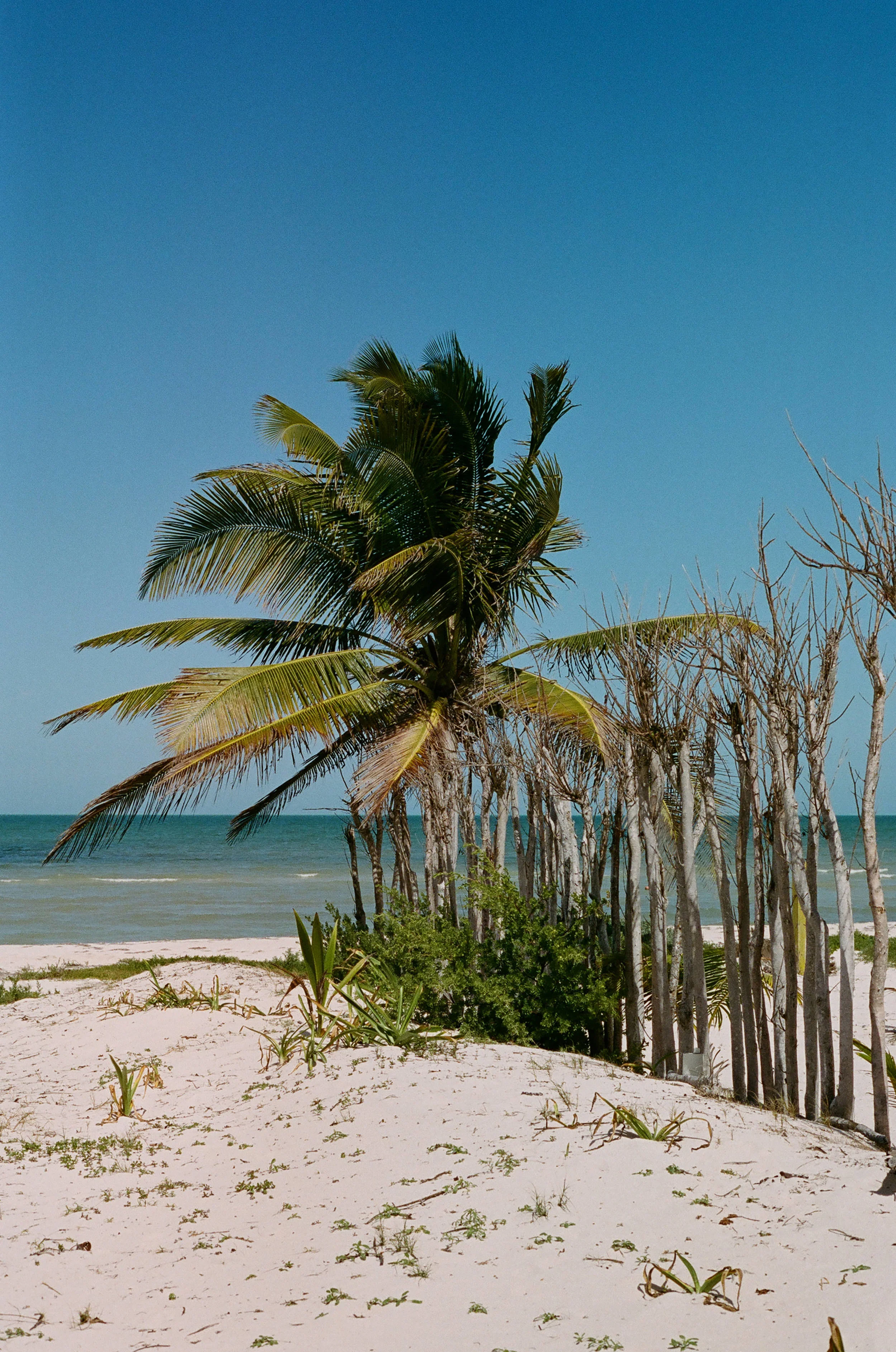 mexico-55.jpg