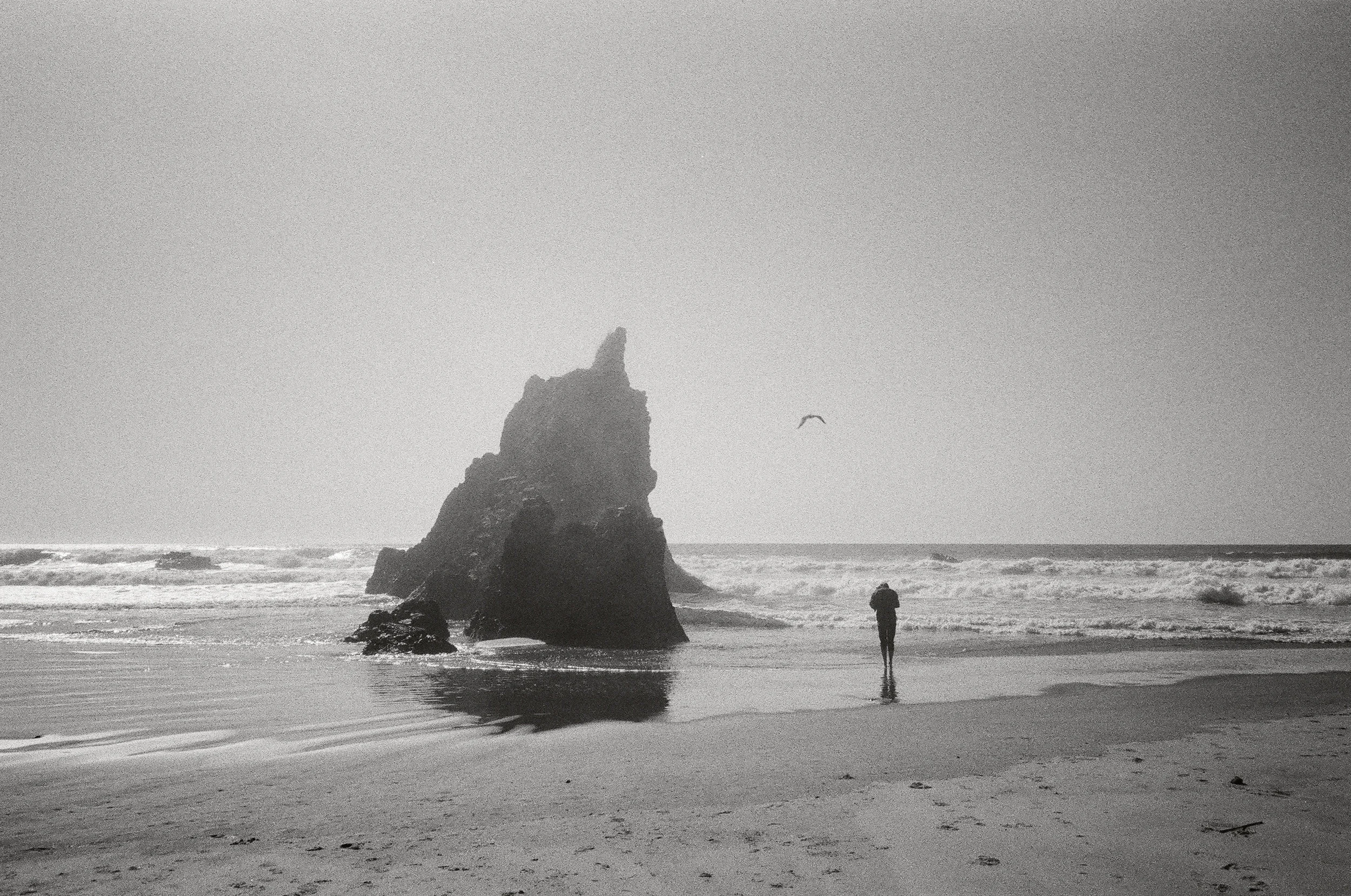 coast+cycles-23.jpg