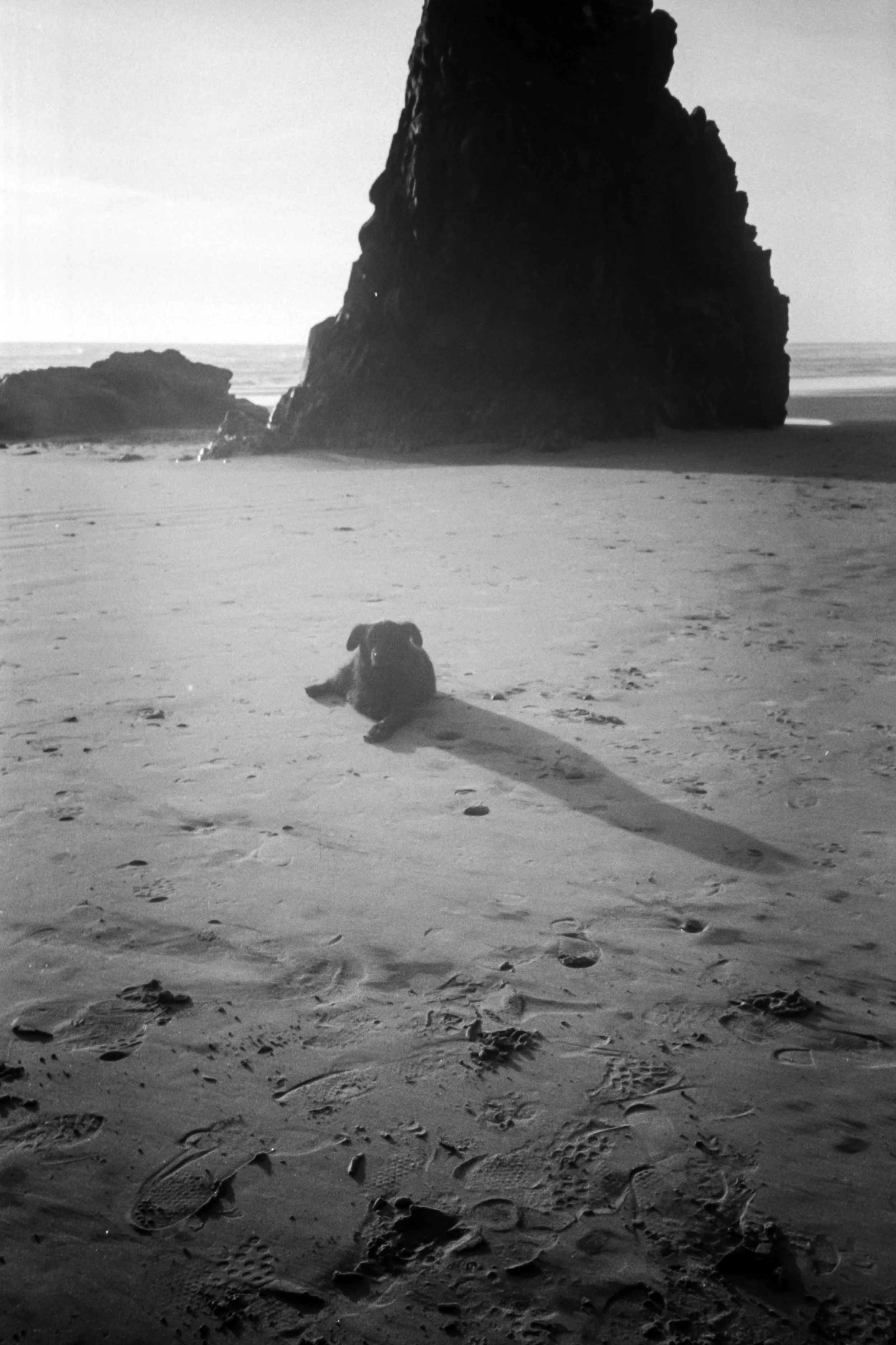 summer18bw-3.jpg