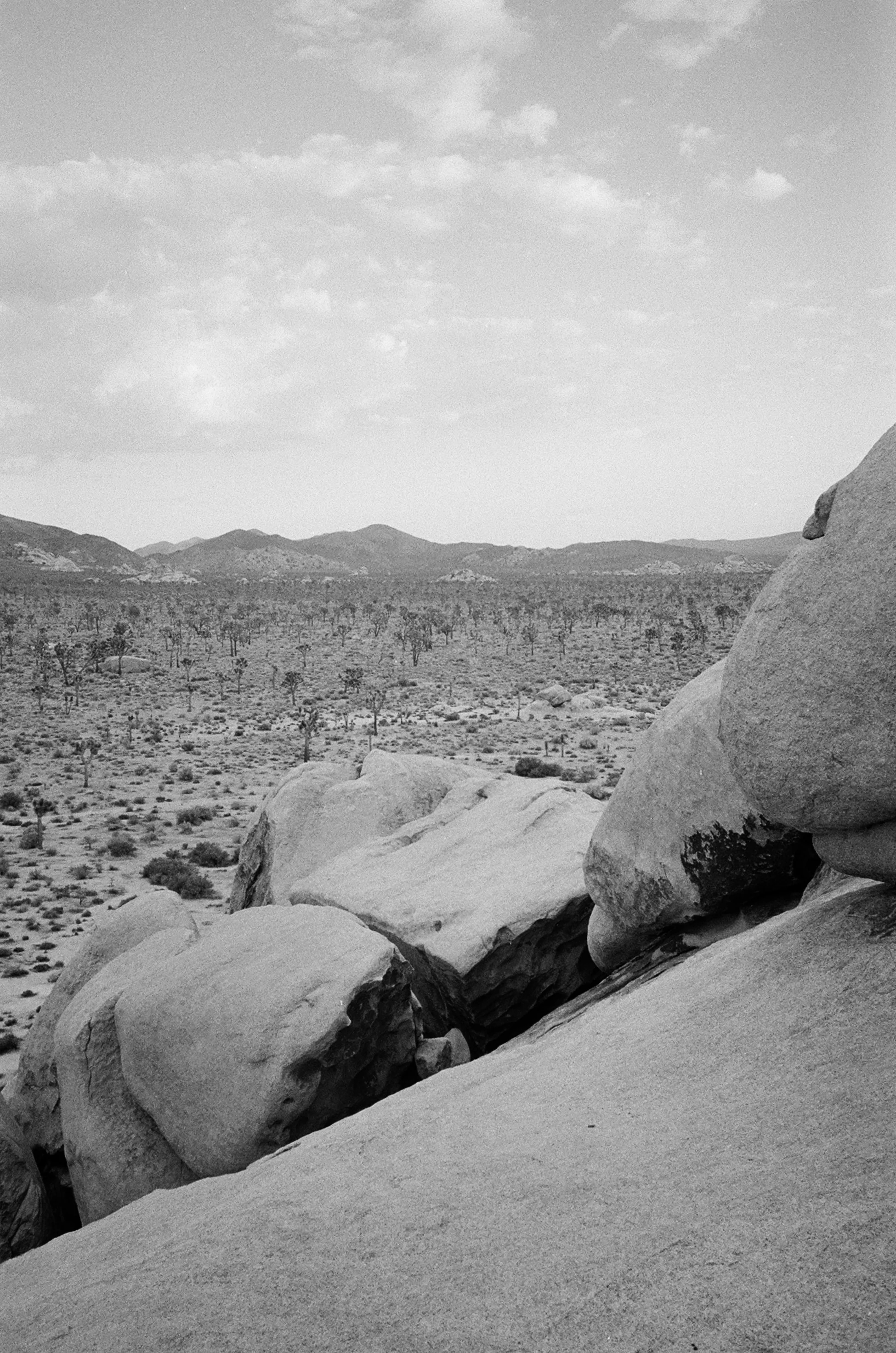 desertbw-29.jpg