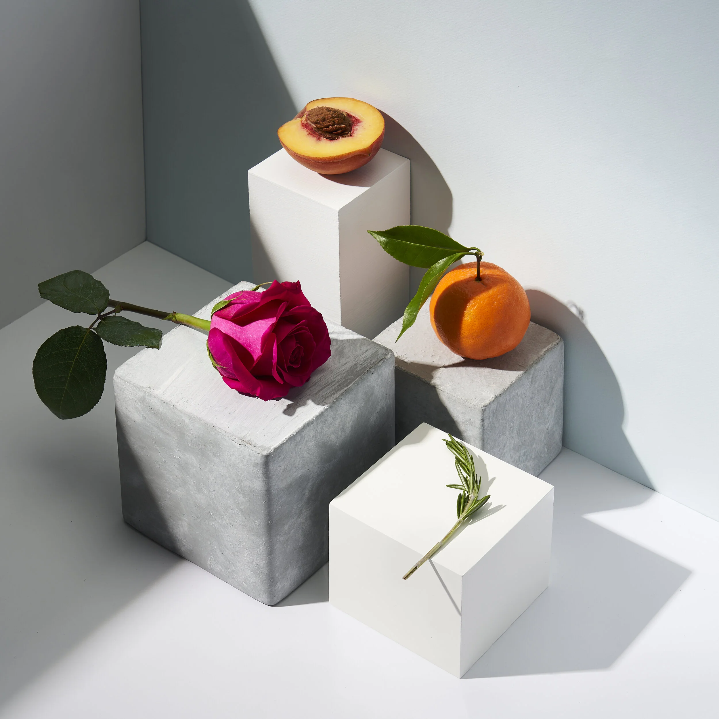 Dynamic_Renewal_Cream_Ingredient_031_STACKED.jpg