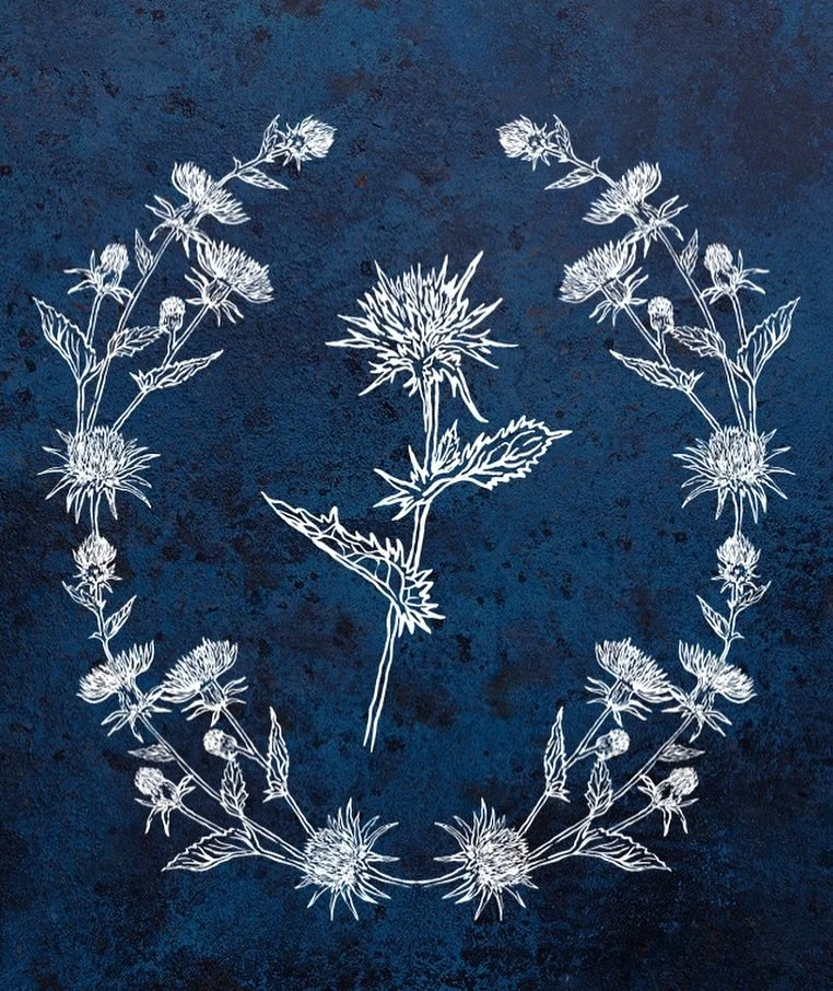 Happy Solstice 🤍 Leaning into Winter with more intentional time for creating and absorbing inspiration from the season ❄️
#wintersolstice #thistle #illustration #winter