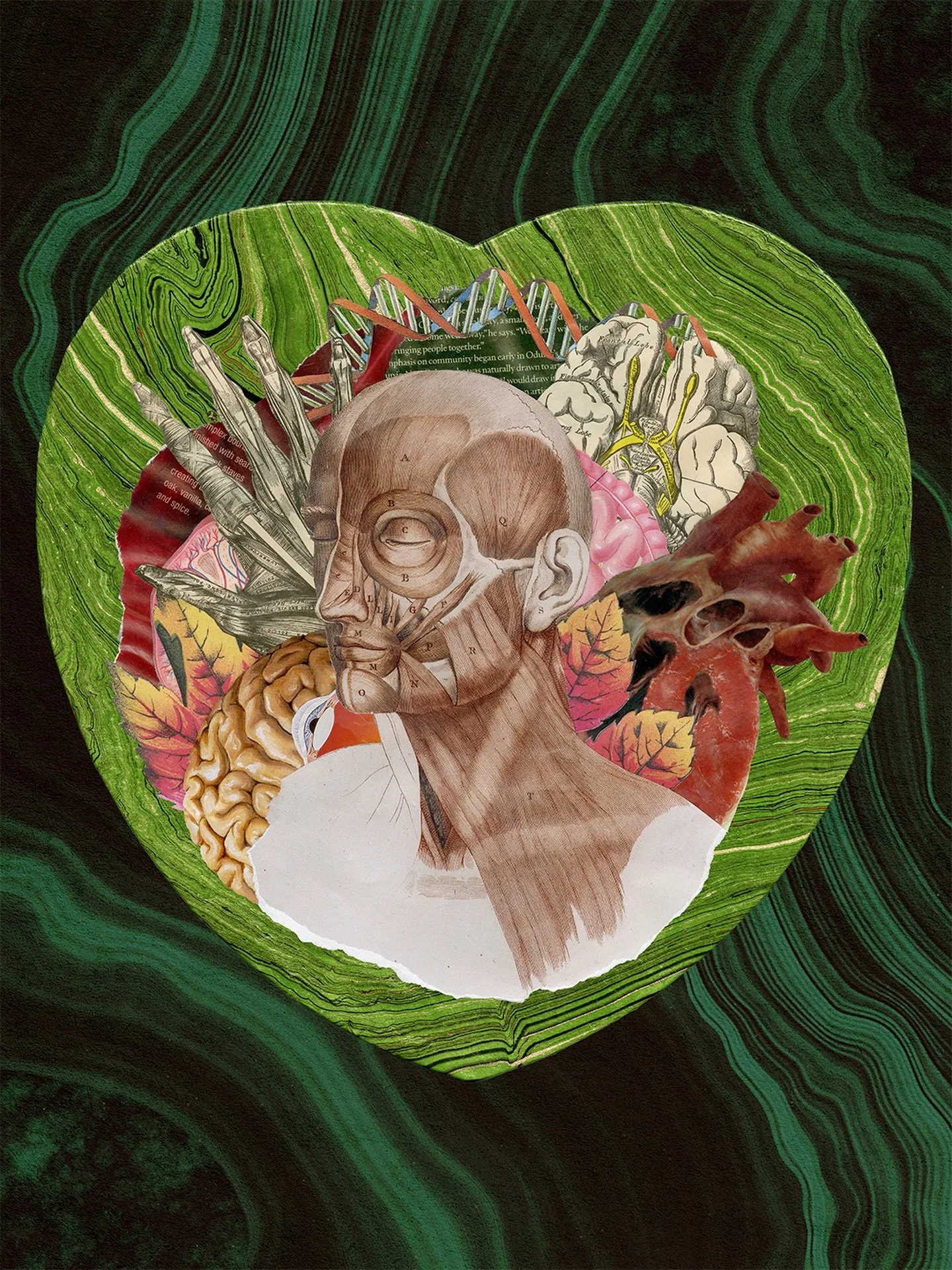 &ldquo;Life Eternal&rdquo;
First piece of 2026!🫀🍁🧠 Incredibly inspired by the captivating visuals of @gdtreal adaptation of Frankenstein and needed an excuse to slice up a Grey&rsquo;s Anatomy book ✂️ This piece will be available at @golddoorgalle