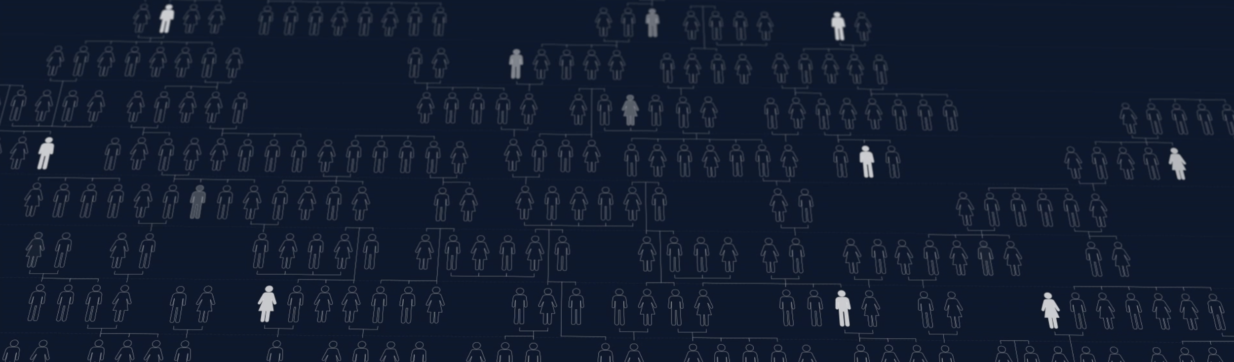 Screen Shot 2023-02-01 at 11.26.41 AM.png