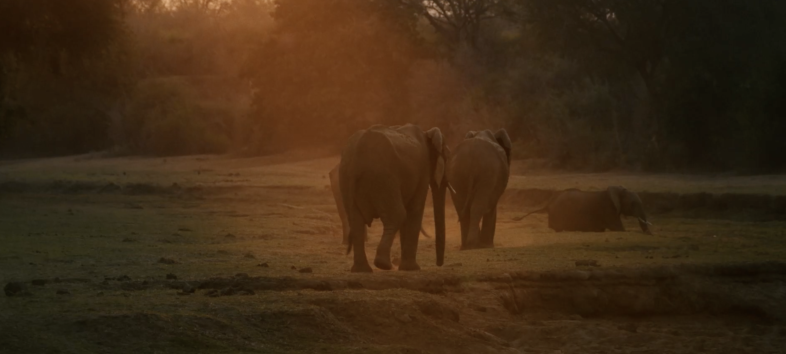 Screen Shot 2025-10-16 at 1.54.37 PM.png