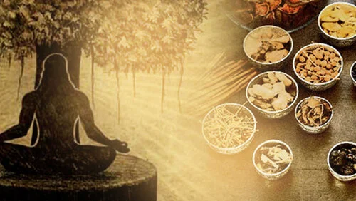 ayurveda.yoga.jpg