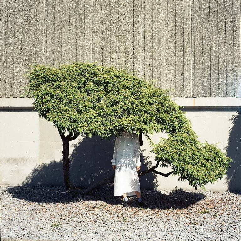 bush001 copy.jpg