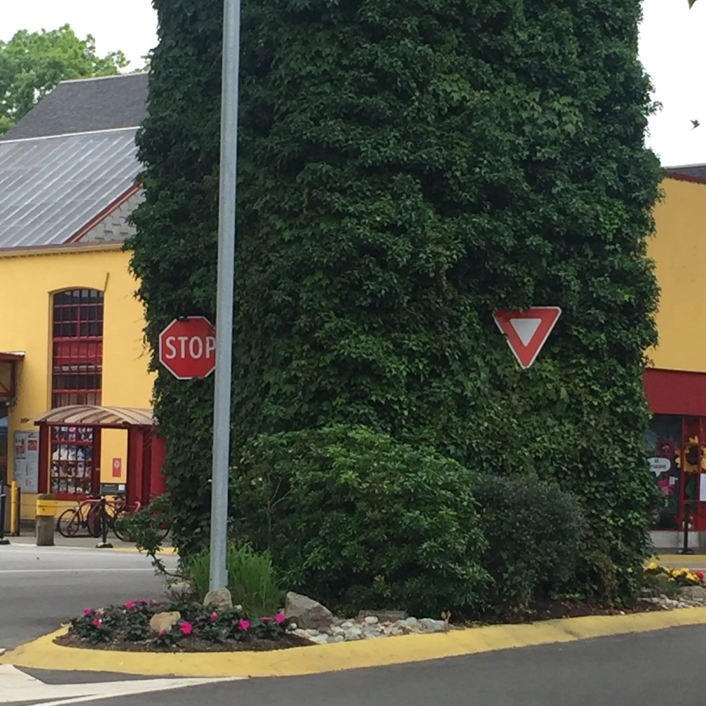 the in plain site companions had something to say