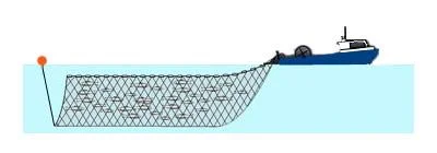 Gillnet_illustration.jpg