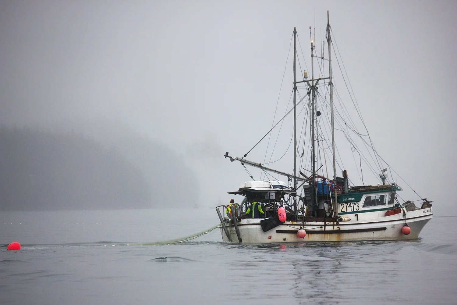 BobBurkosky_BCSalmon6.jpg