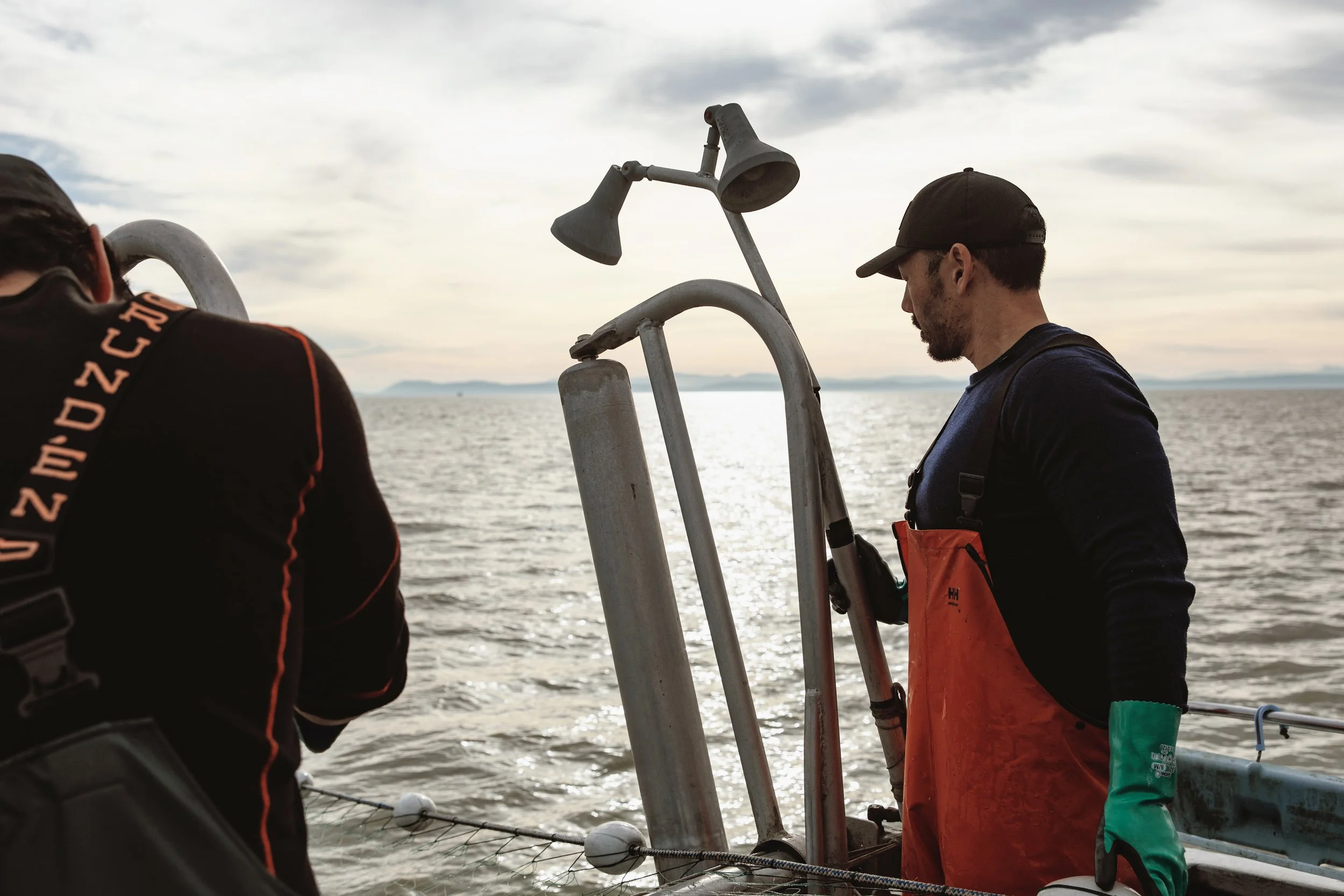 Wild BC Salmon Season Opens June 9th Amid Strongest Fraser River Sockeye Forecast Since 2018