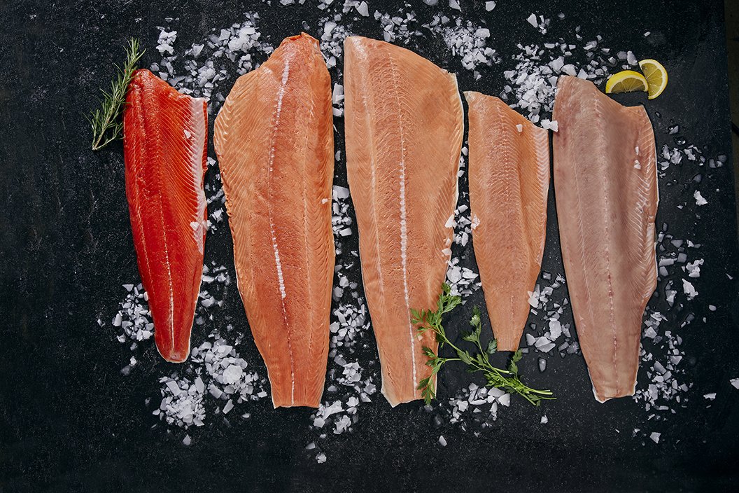 The five species — BC Salmon
