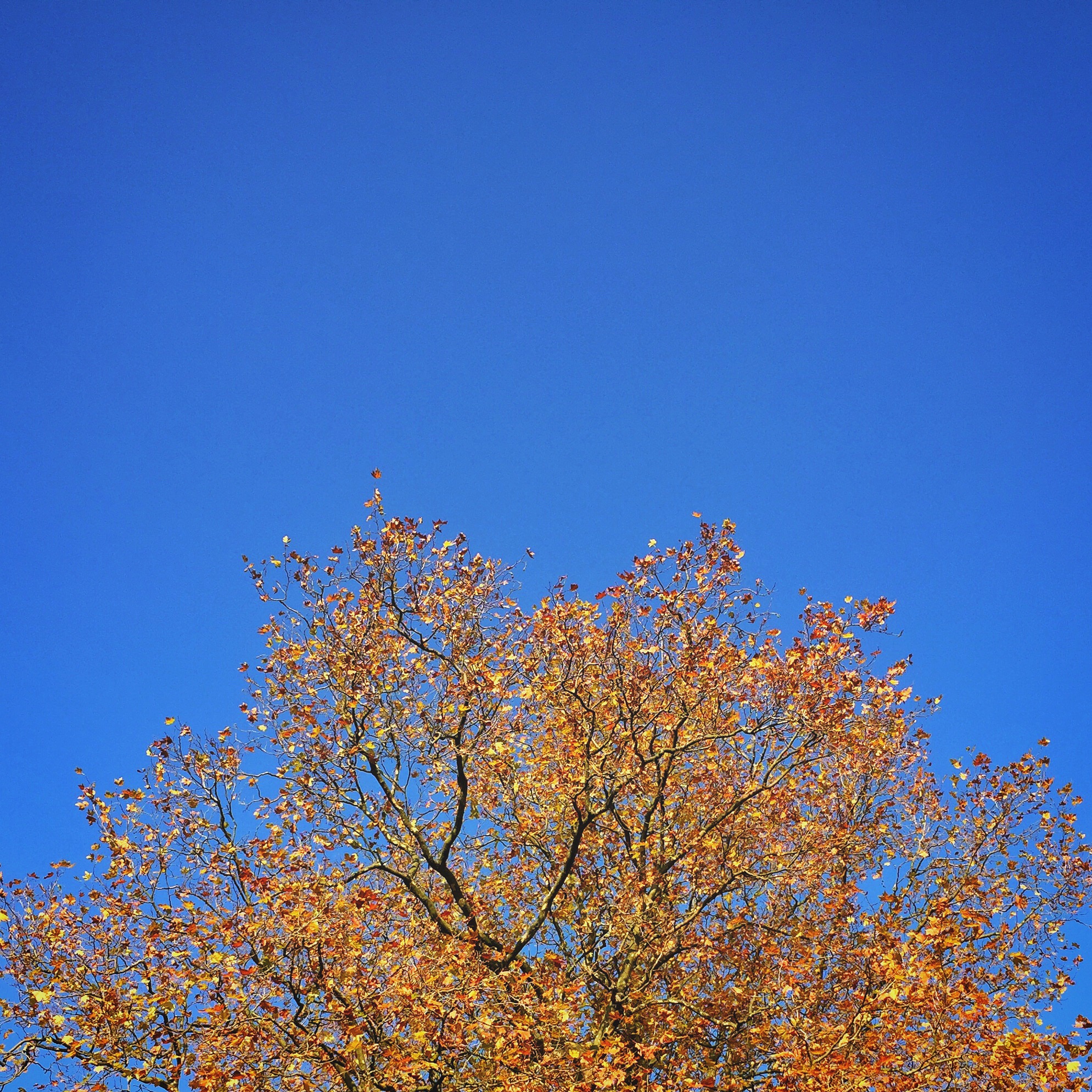 IMG_1864.JPG