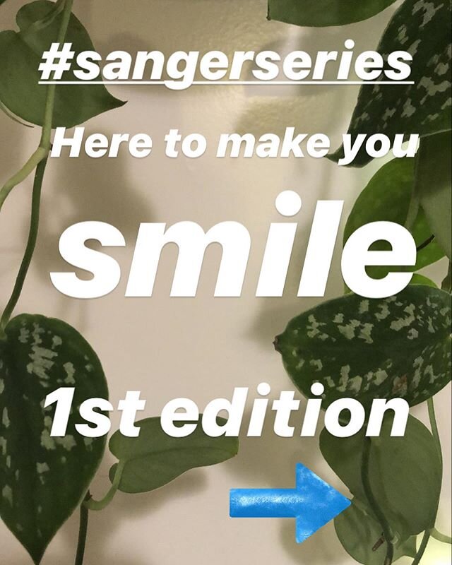 Guess who&rsquo;s who! (Answer in stories!) Anytime you want to make them smile, consider donating to Sanger&rsquo;s employee fund via PayPal! Use mgmt@sangerhall.com and THANK YOU THANK YOU! We will see you on a sunny day soon with the windows open 