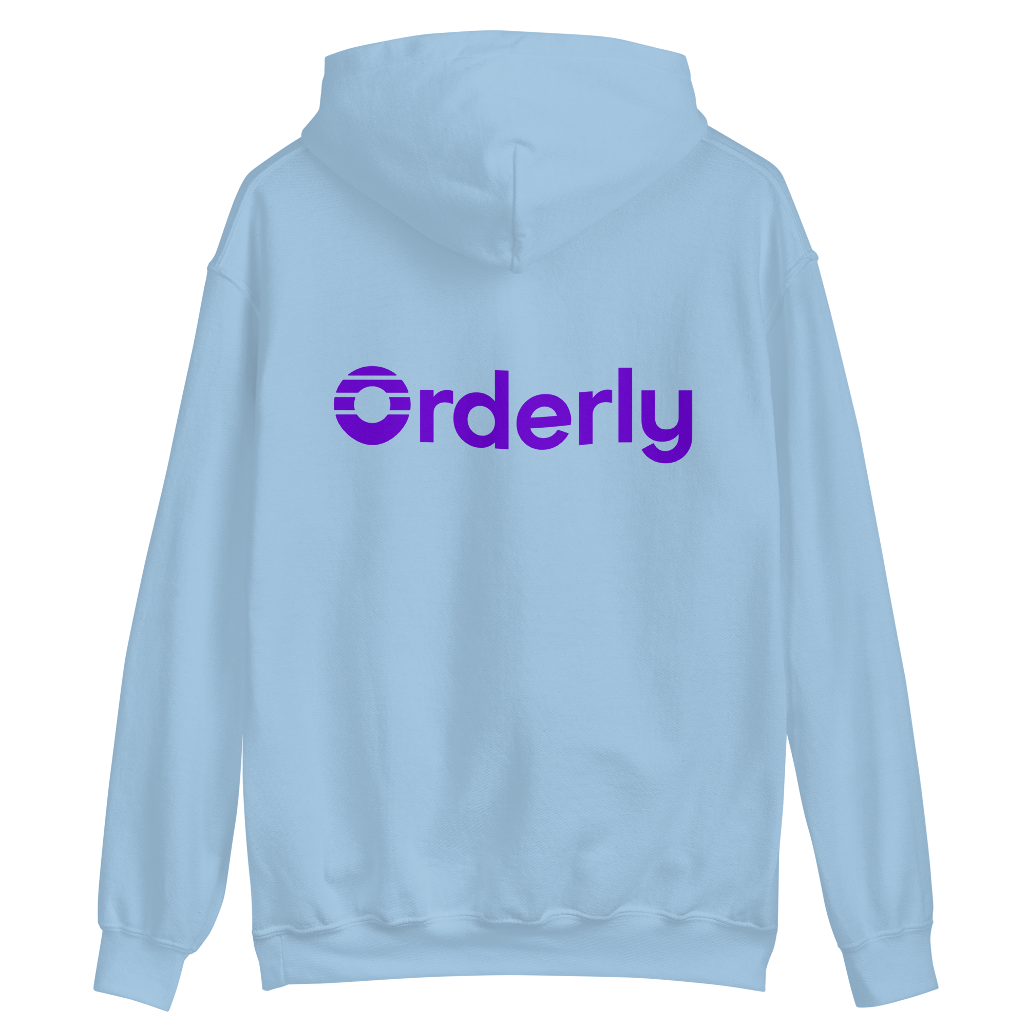 unisex-heavy-blend-hoodie-light-blue-back-6966215dac2e9.png