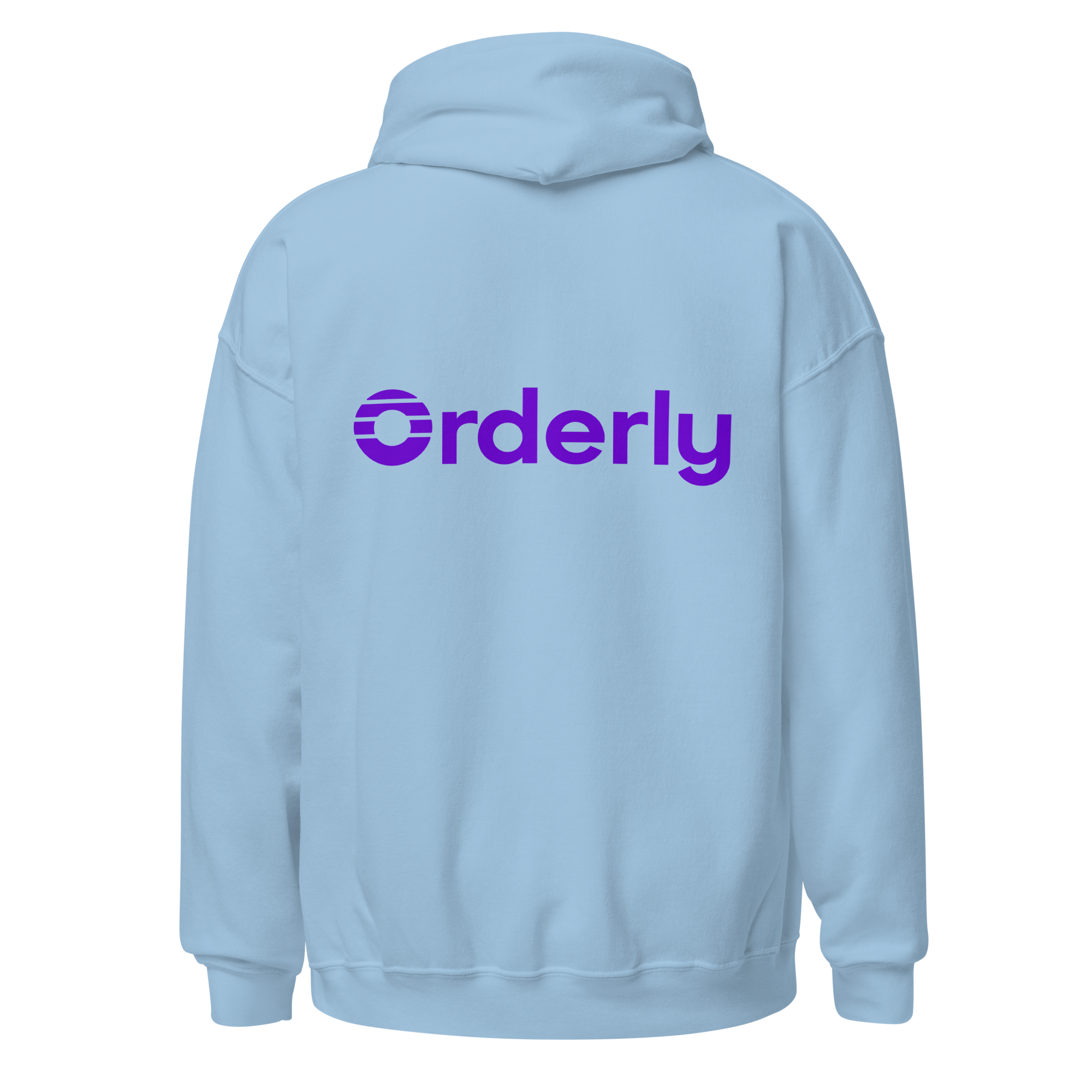 unisex-heavy-blend-hoodie-light-blue-back-6966215db9c7a.png