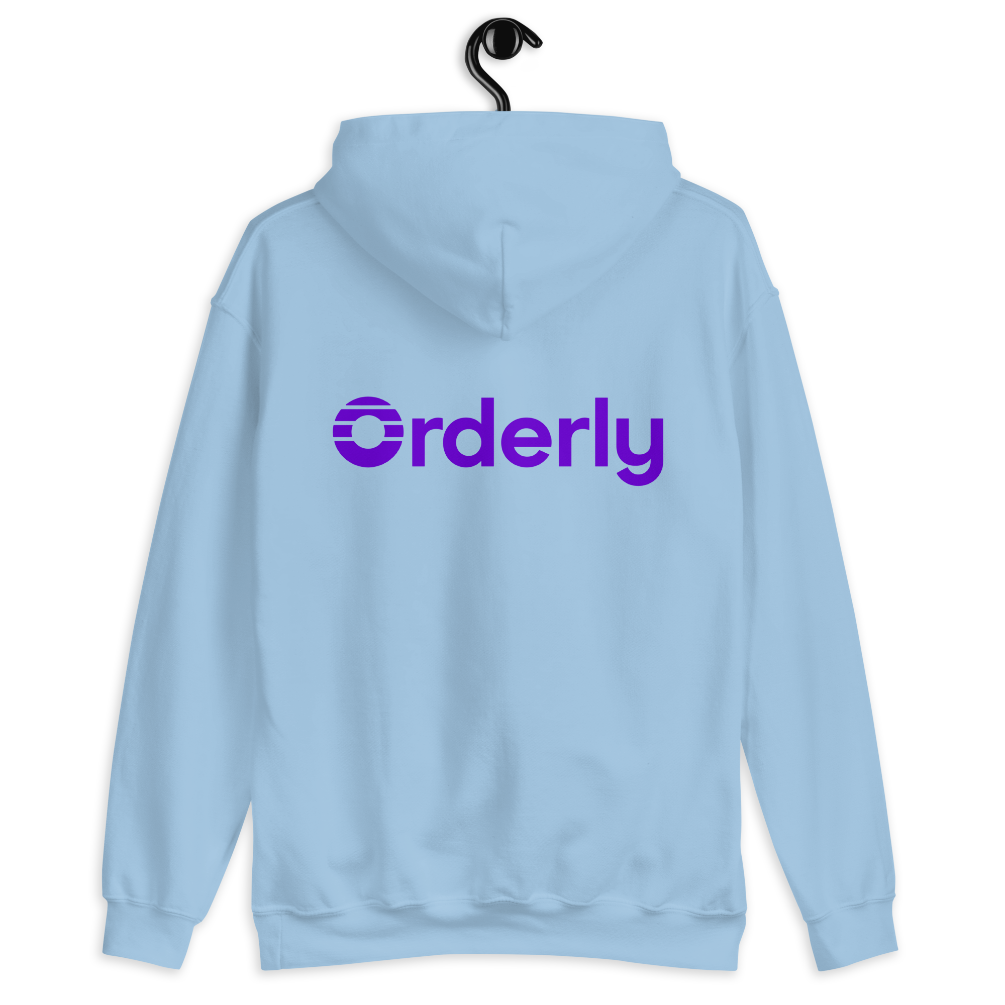 unisex-heavy-blend-hoodie-light-blue-back-6966215de3709.png