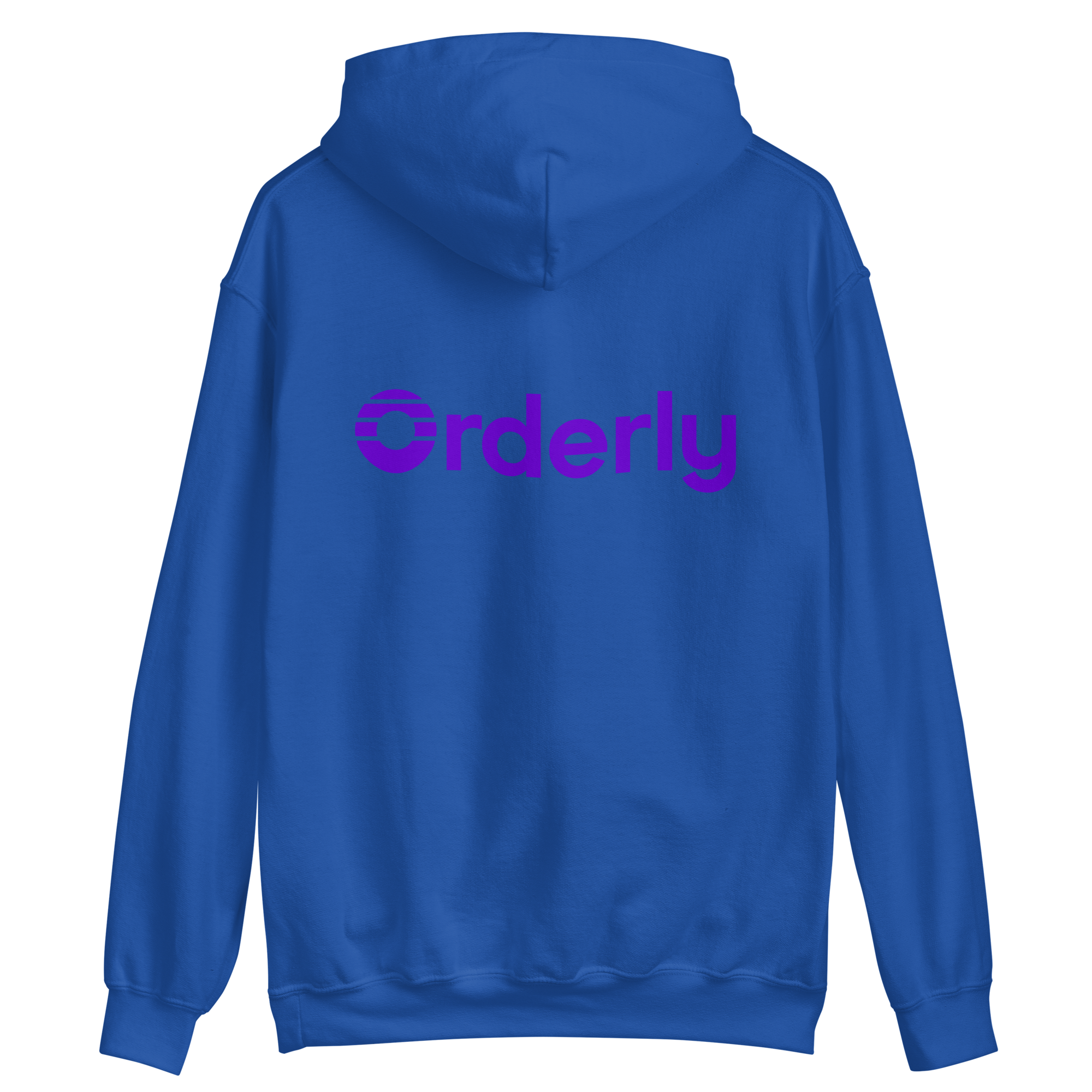 unisex-heavy-blend-hoodie-royal-back-6966215f2c12c.png