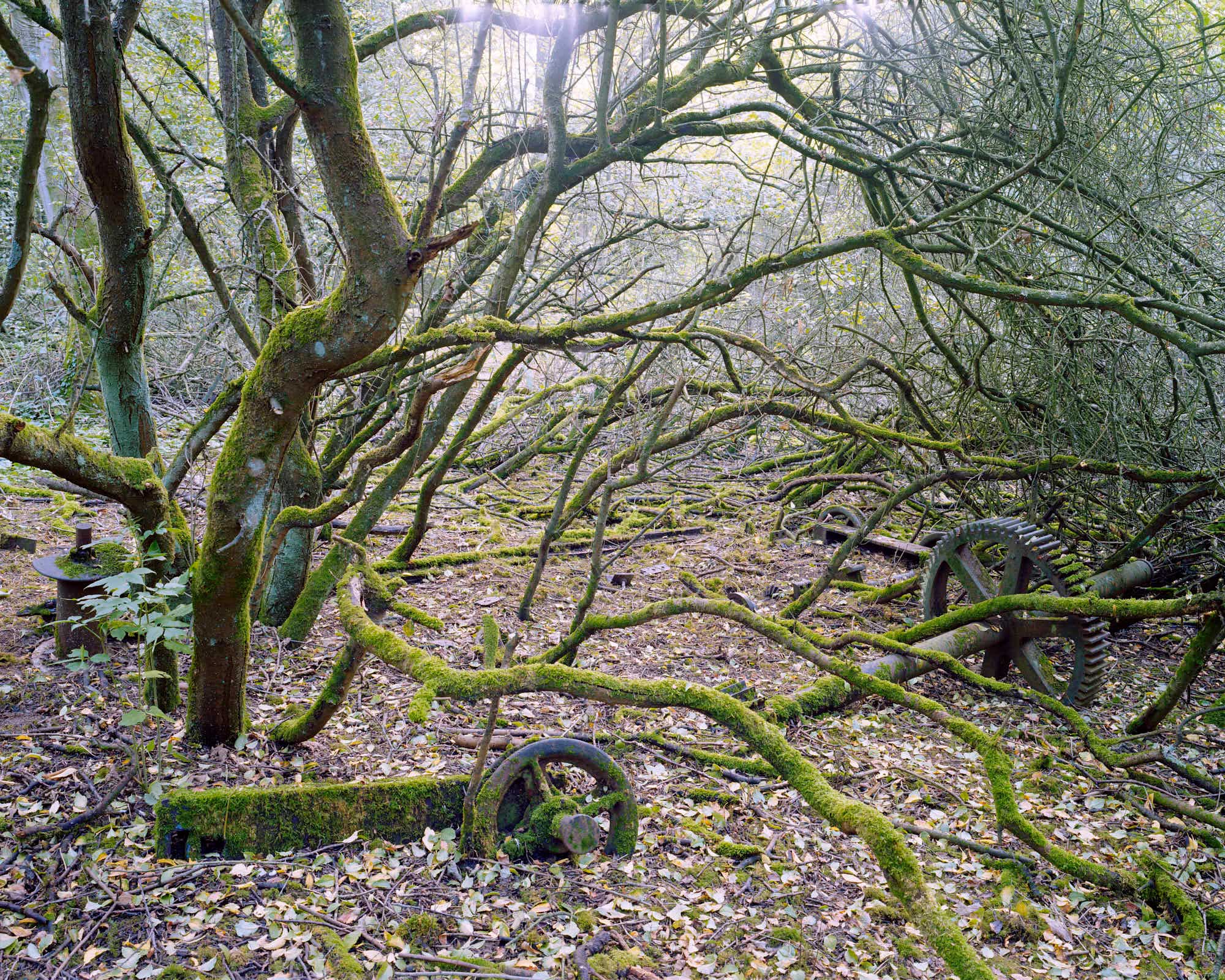  Dolly Engine Remains, Pigment Print, 122 x 152 cm, 2006, Edition of 7 