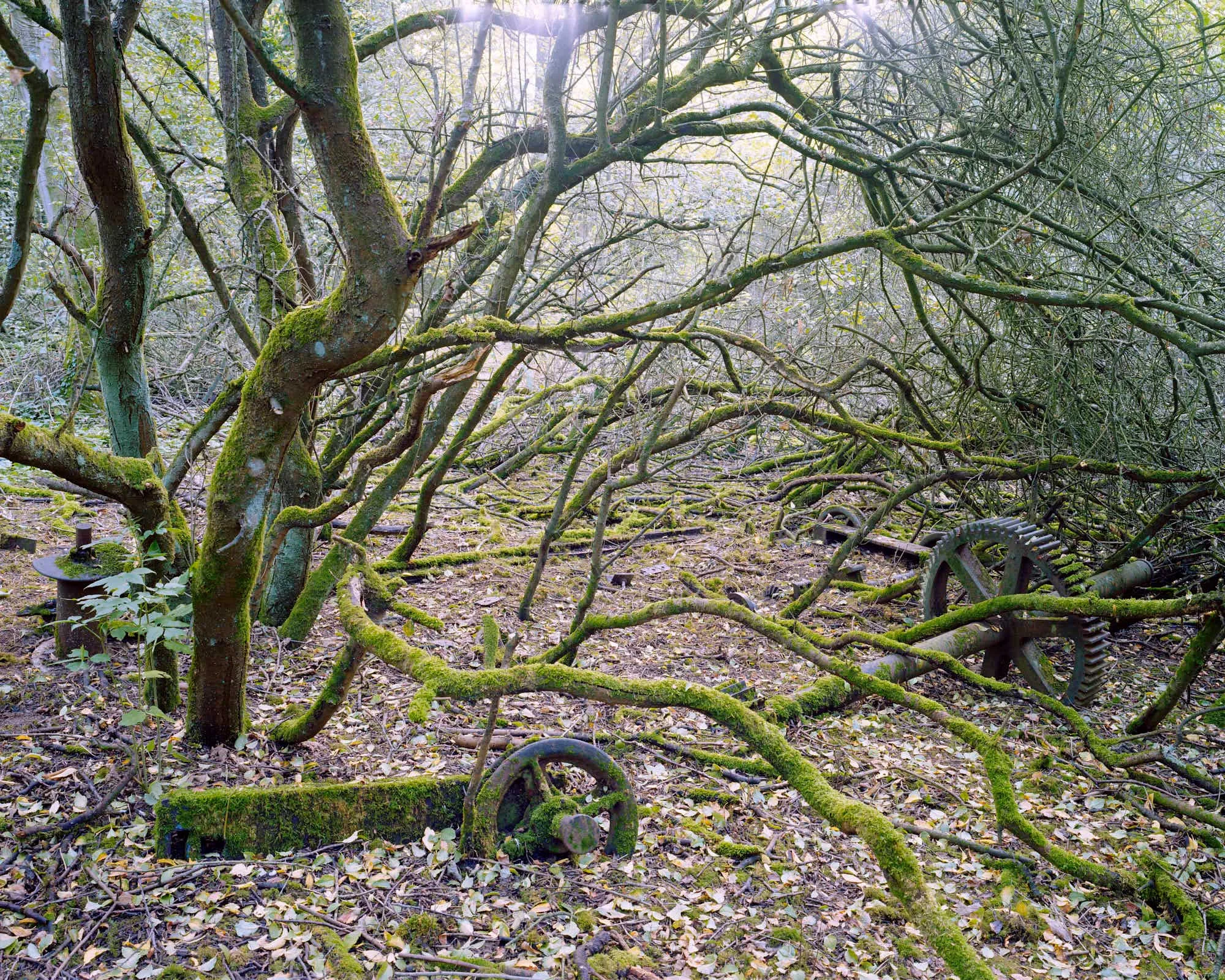 Dolly Engine Remains, Pigment Print, 122 x 152 cm, 2006, Edition of 7
