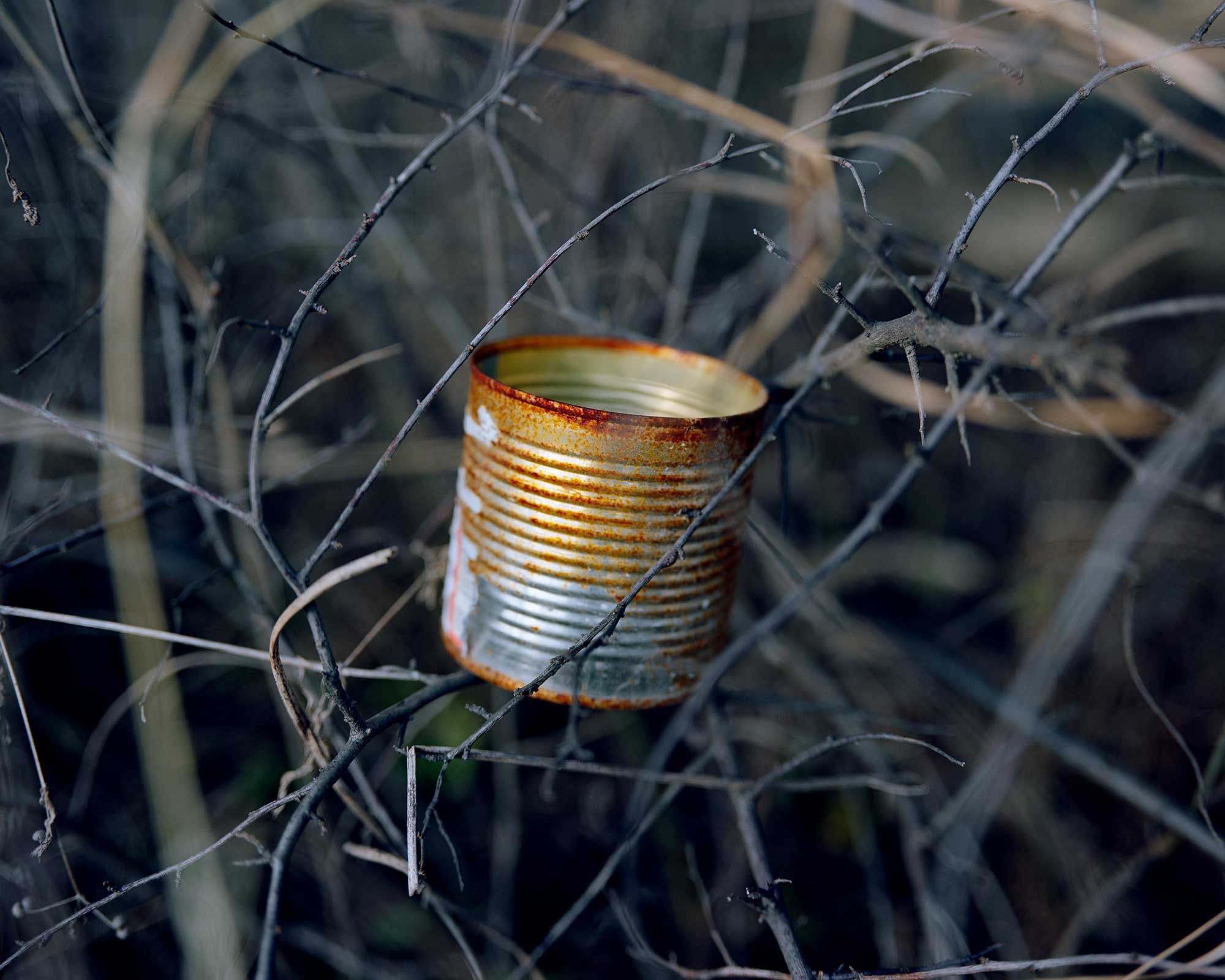  Duckett's Canal, Pigment Print, 61 x 76 cm, 2008, Edition of 7 