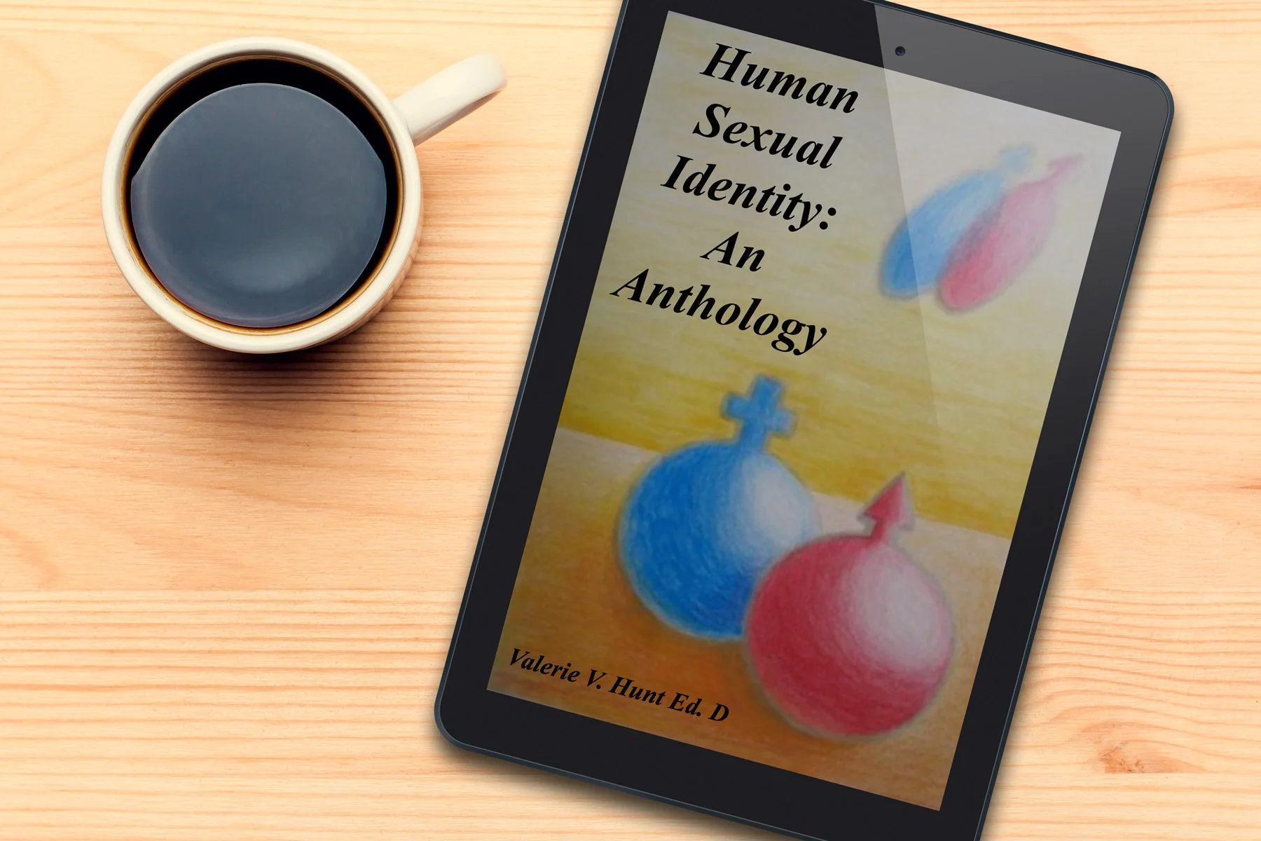Human-Sexual-Identity-Book-Cover-2.jpg