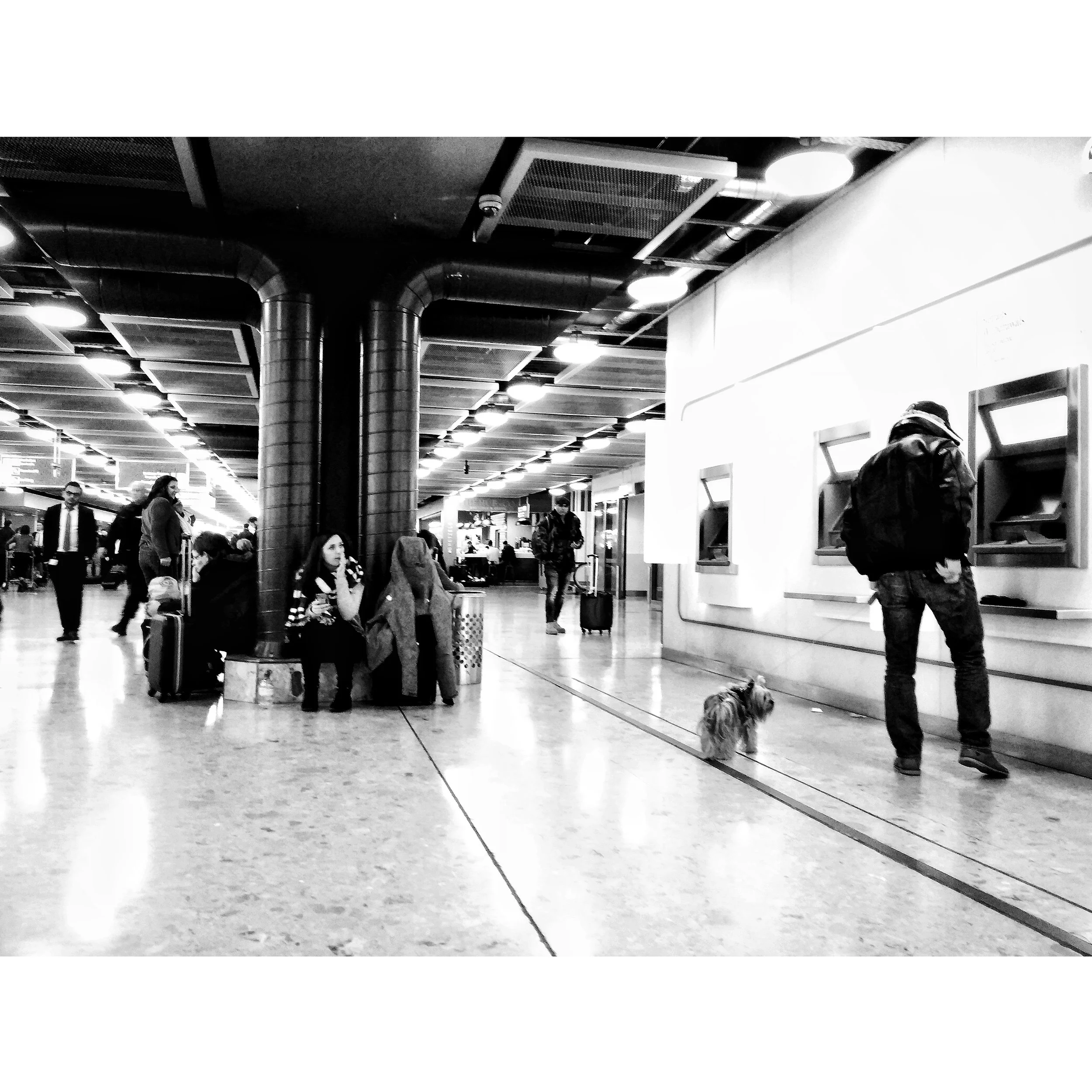  Geneva Airport arrivals lounge. 