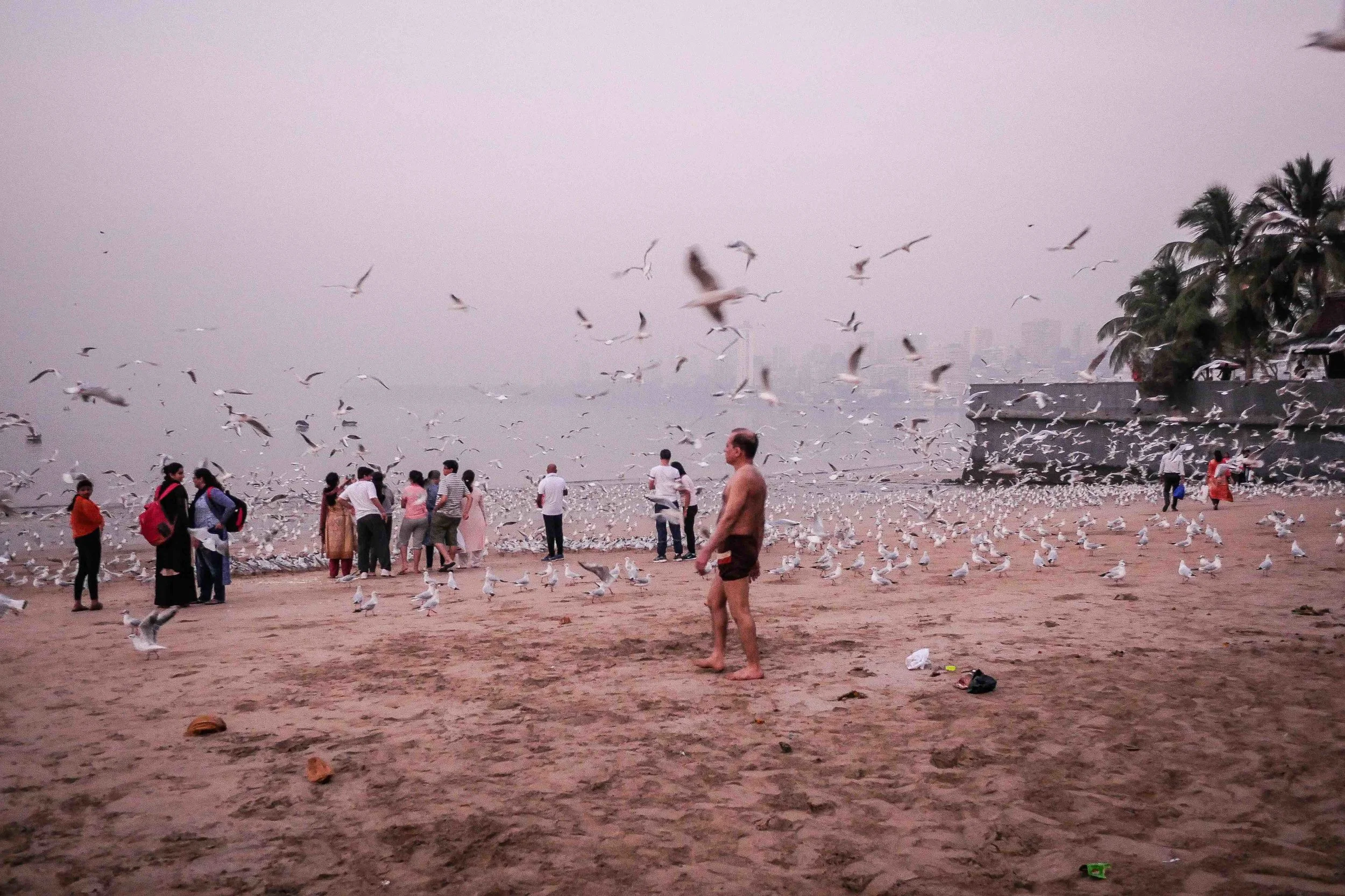  A morning swim amongst the gulls | Chowpatty Beach | Mumbai. 