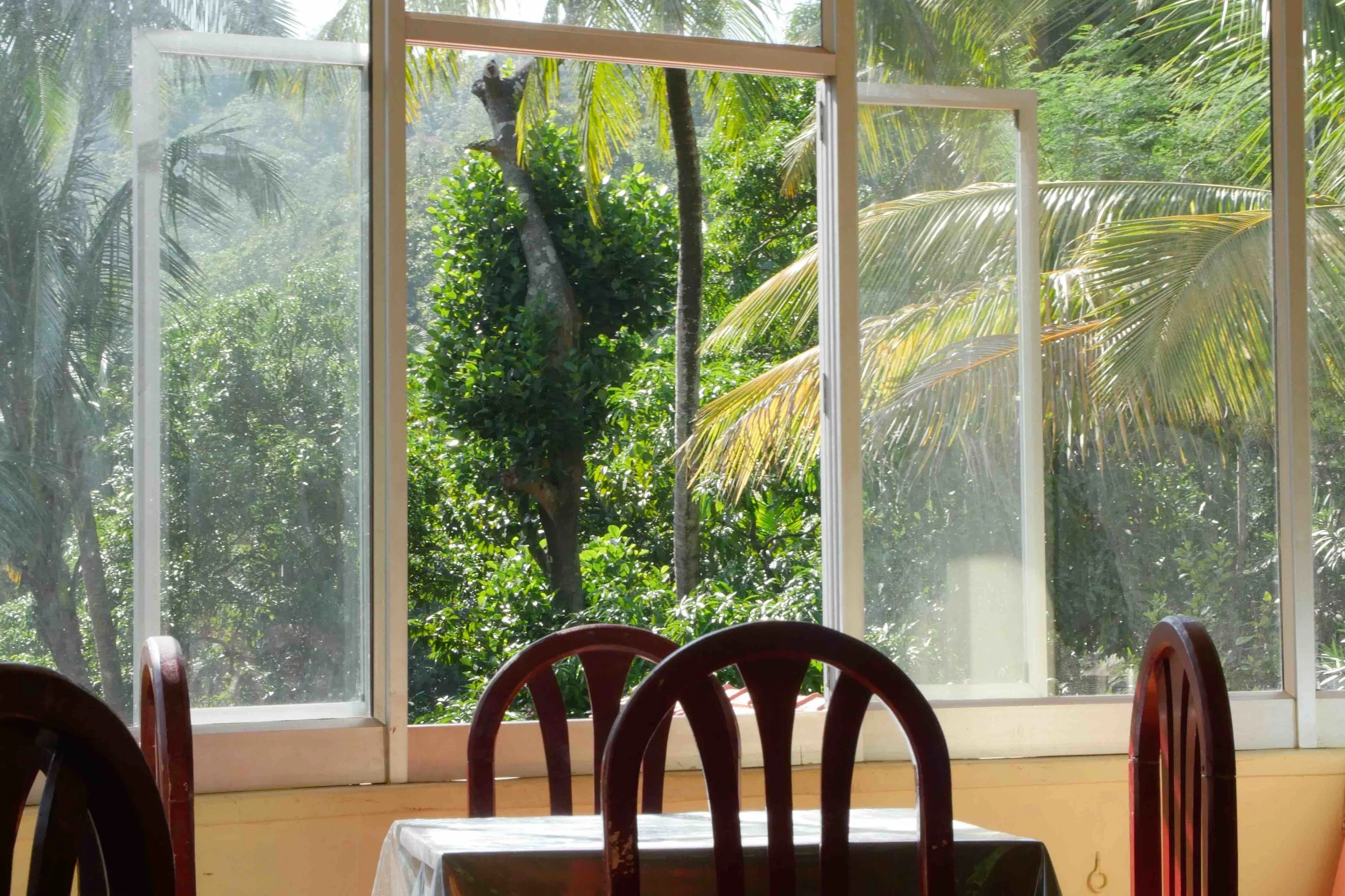  A Very Colonial Table | near Palaruvi Falls | Kerela. 